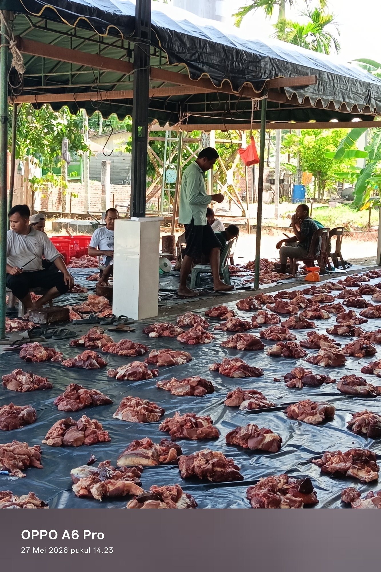 Under a tent-like structure in Blangkutacoh, Indonesia, numerous chunks of raw meat are arranged on a black tarp spread on the ground. Several men are present: some are seated, some are standing and appearing to be handling or examining the meat. Trees and greenery are visible in the background.