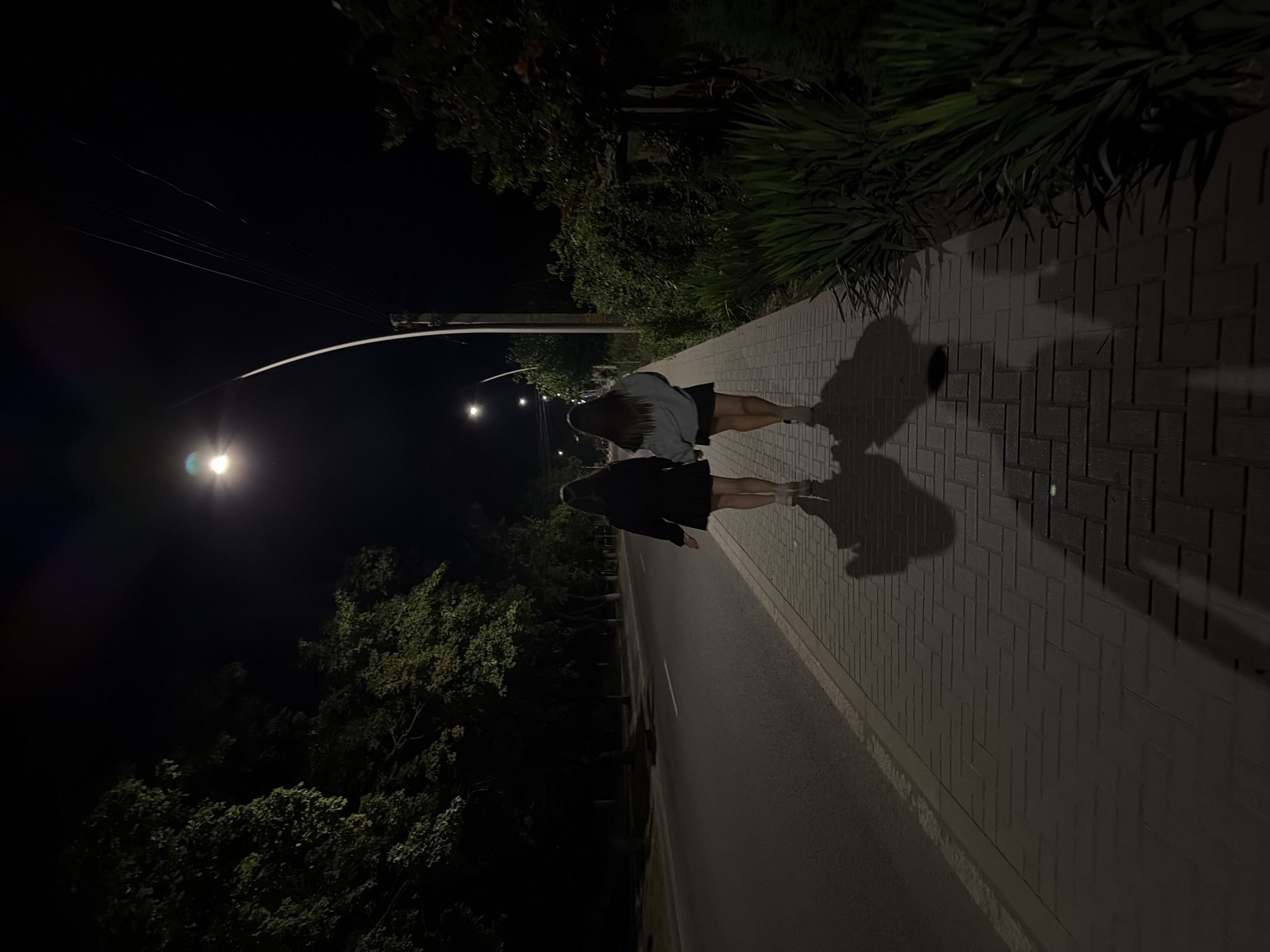 Two individuals are walking away from the camera on a brick sidewalk at night. The individual on the left is wearing a dark, possibly black, skirt and a dark top or jacket. The individual on the right is wearing a dark skirt and a light gray hoodie. Both individuals have long, dark hair. They are walking on a sidewalk next to a street, with trees lining the opposite side of the street. A street light illuminates the scene, casting long shadows of the individuals on the sidewalk. Greenery, including bushes and tall plants, is visible to the right of the sidewalk. Power lines are visible overhead. The setting appears to be a residential or suburban area in Strășeni, Moldova, based on the context provided.