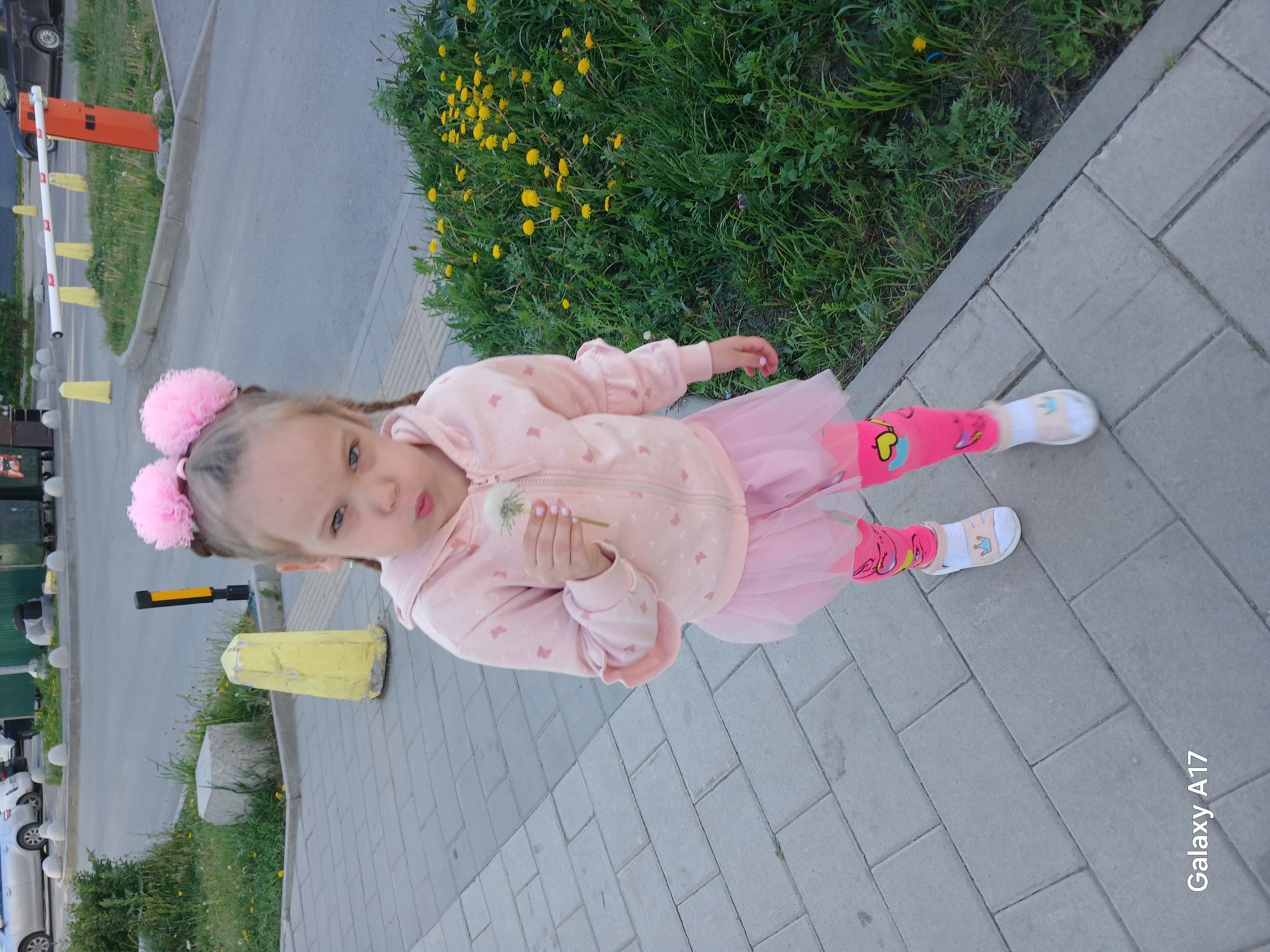 A young girl stands on a gray brick sidewalk next to a patch of green grass with yellow flowers. The girl, wearing pink pom-poms in her hair, a pink hoodie, a pink tutu, pink socks with designs, and white sandals, holds a dandelion in her hand. The scene appears to be outdoors, potentially near a street, with parked cars, yellow barriers, and a gate visible in the background. The photo's metadata identifies the image as having been taken with a Galaxy A17. The location is Yekaterinburg, Russia.