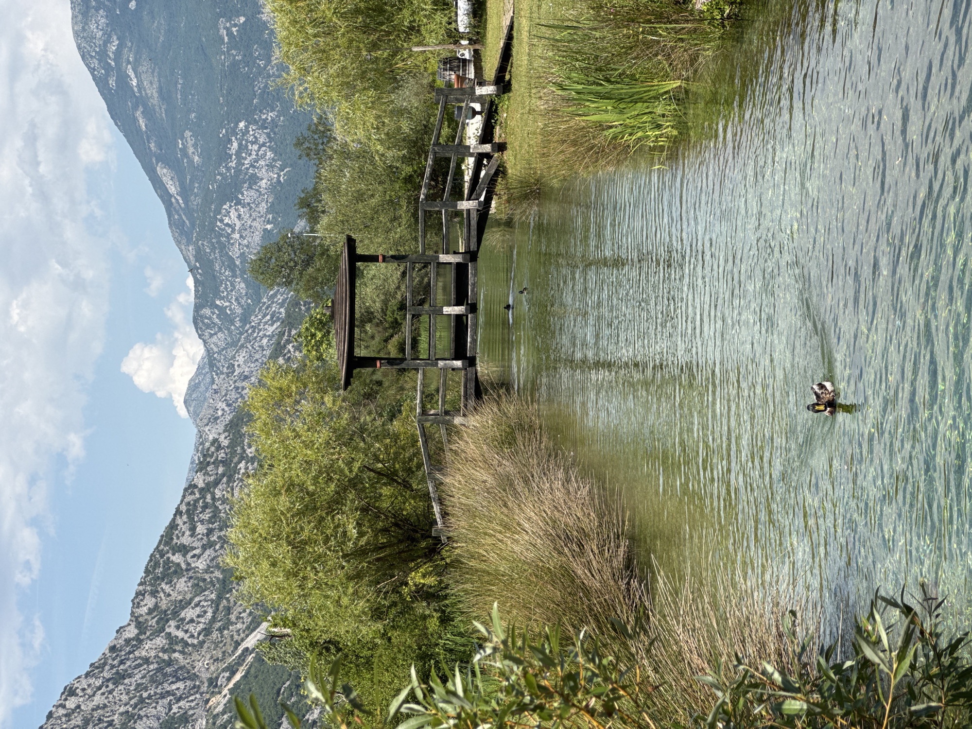The image depicts a tranquil natural scene in Morinj, Montenegro. A wooden footbridge with a small, covered gazebo at its center spans a clear, shallow river. The river's surface is disturbed by ripples, and the riverbed is visible through the translucent water. On the left bank, dense reeds and tall grasses create a natural border, while the right bank features a grassy area with some vegetation and a wooden fence. In the distance, lush green trees frame the bridge and river, and beyond them, imposing, rocky mountains rise under a partly cloudy sky. Two ducks are visible swimming in the river, one closer to the foreground and another further back, near the bridge. The overall impression is one of serenity and natural beauty.