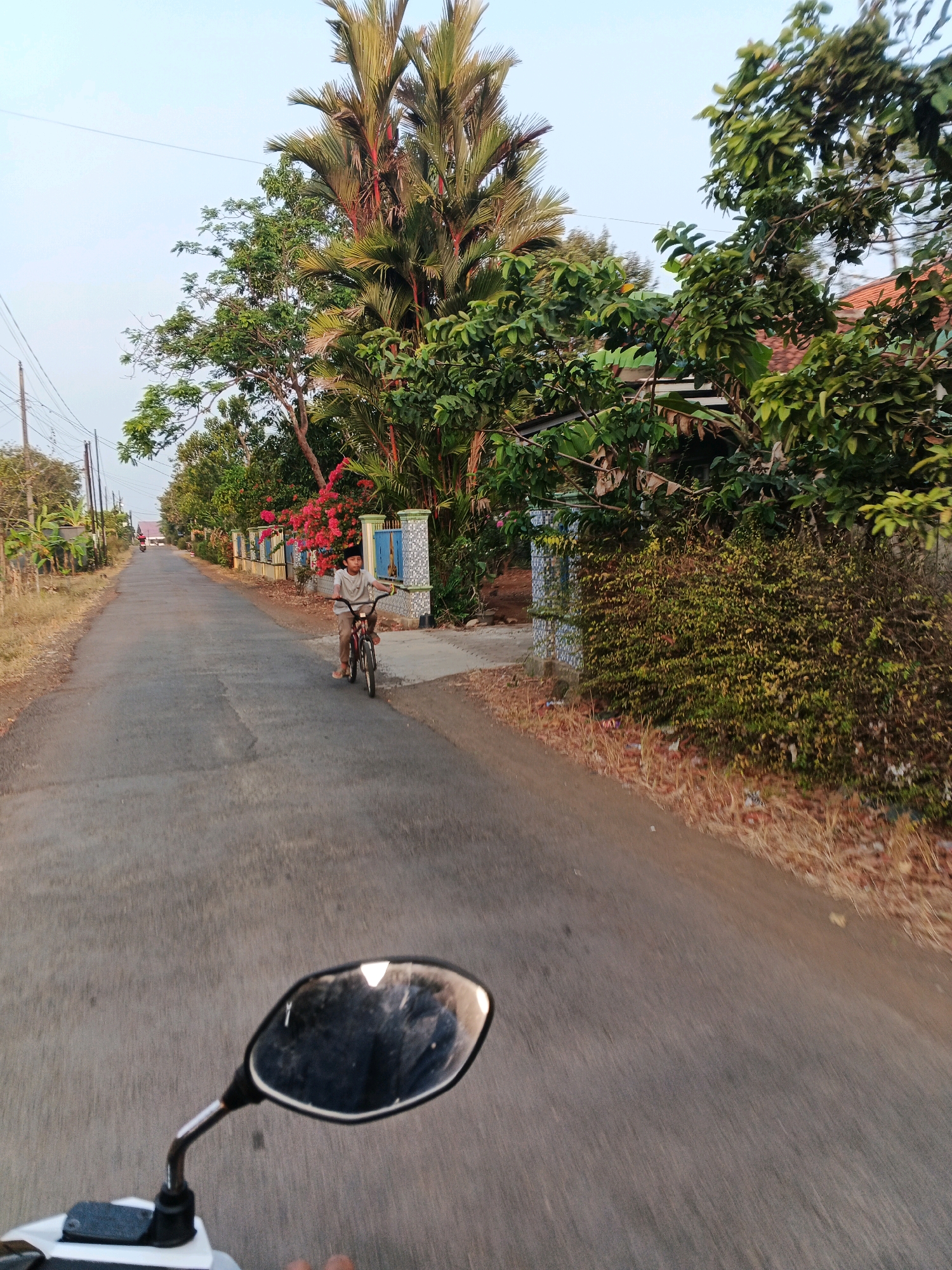 A full, eye-level, medium shot captures a paved road in an outdoor, rural setting under a clear, pale blue sky. The perspective is from the viewpoint of a motorcycle, evidenced by the reflection in the motorcycle's side mirror in the lower foreground. The road stretches into the distance, bordered by dry, brown grass and foliage on the right and more abundant greenery and some buildings on the left.
A young boy on a bicycle is the central subject, positioned approximately one-third of the way down the road. He is wearing a light-colored t-shirt and shorts, and is actively pedaling. His bicycle appears to be red with silver handlebars.
To the right of the road, a fence with blue and white tiled posts separates the road from a property with dense green bushes and trees, some of which have red flowers. The leaves of the trees on the right are a mix of green and brown. On the left side of the road, there are more trees and some structures, including what appear to be houses with orange roofs. In the far distance on the left, a red motorcycle can be seen.
The overall impression is a serene, daytime scene on a rural road, likely in a warm climate.
