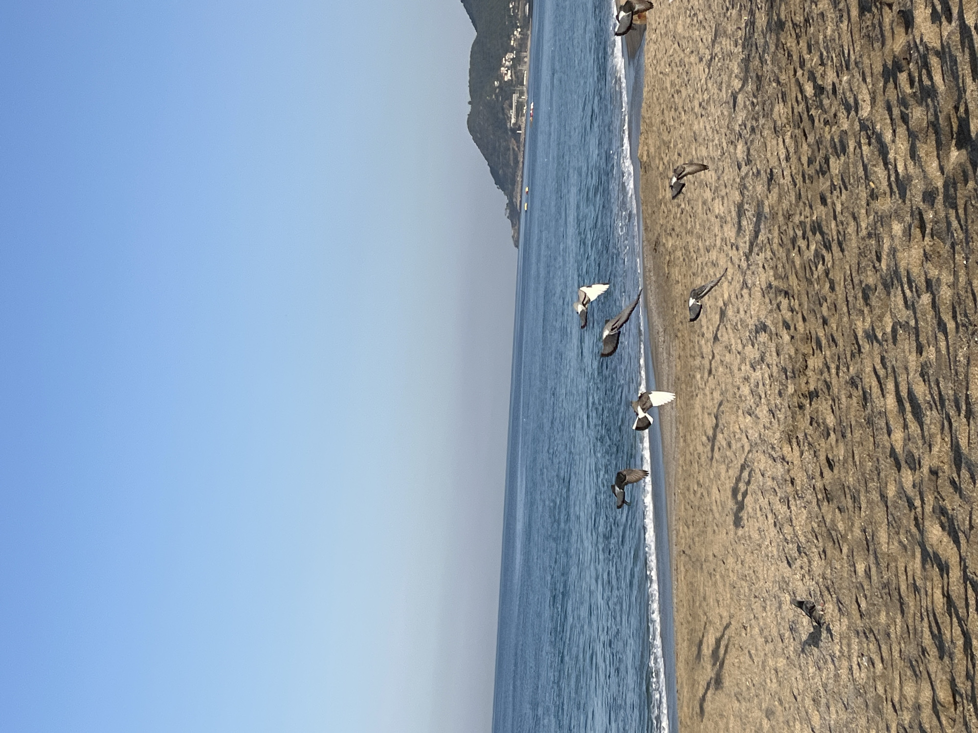 The image is a horizontally-oriented photograph taken at Alanya, Turkey depicting a beach scene, the sea, and the sky. A thin strip of land or hill is visible in the background along the coastline. The sky is predominantly blue and cloudless. The beach, composed of sand, is textured with shadows and appears damp. A narrow strip of water, with gentle waves, separates the sand from the deeper blue sea. Several birds are in flight, appearing as dark or white blurred shapes in the air between the sea and the beach.
