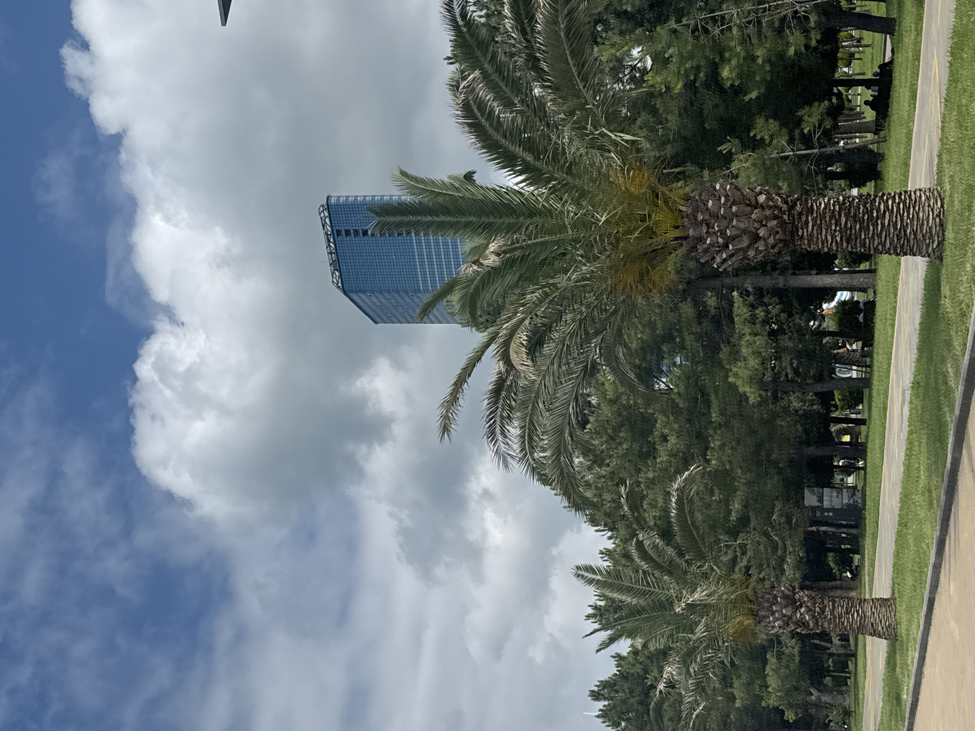 This is a photograph taken in Batumi, Georgia, likely from a park area along the coast. In the foreground, two palm trees stand prominently, their rough, textured trunks supporting lush green fronds. Behind the palm trees, a dense line of various green trees forms a natural backdrop. Further in the background, a modern, tall blue glass building rises into the sky. The sky above is partially cloudy, with white cumulus clouds scattered across a blue expanse. A paved path runs through the park, and some people can be seen in the distance, some sitting on benches and others walking. The overall scene suggests a pleasant, park-like environment within the city, with the contemporary architecture contrasting with the natural elements.