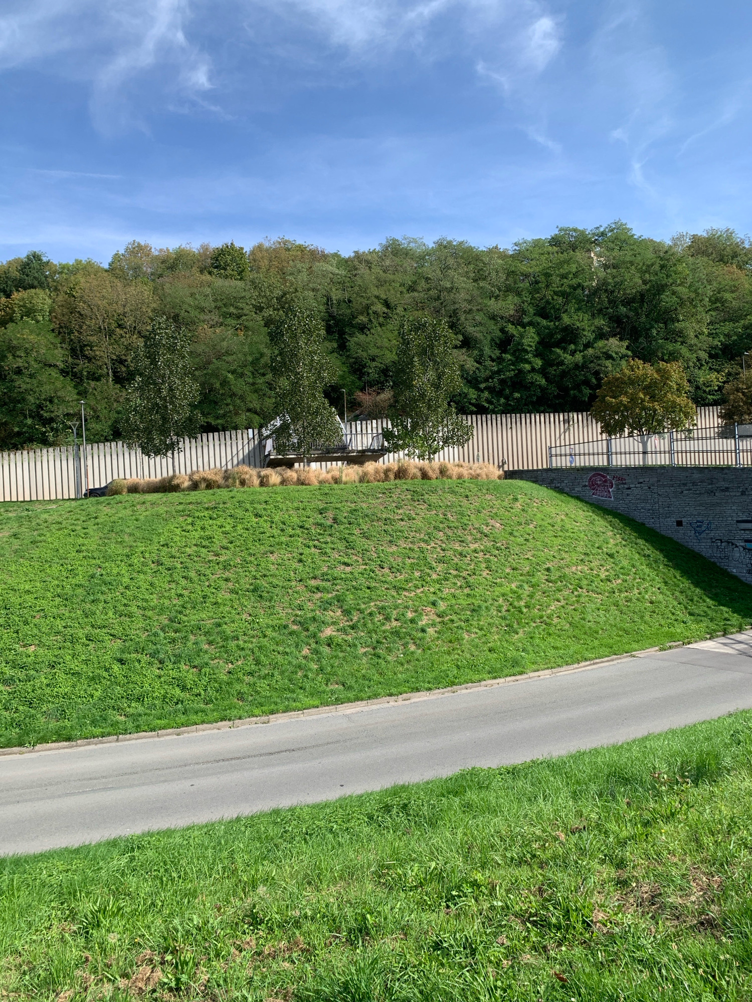 The image depicts a sunny day in a park-like setting in Liège, Belgium, specifically in the area of the Parc de la Découverte. A gently sloping grassy hill dominates the foreground, leading to a paved road. Behind the hill, a concrete wall with vertical slats forms a barrier, separating the park from a wooded area and a street level with railings and some graffiti. Tall, slender trees and patches of ornamental grasses are visible on the landscaped area behind the wall. The sky is a clear blue with a few wispy clouds. In the middle ground, a dark-colored vehicle is parked near the wall, partially obscured by the landscaping.