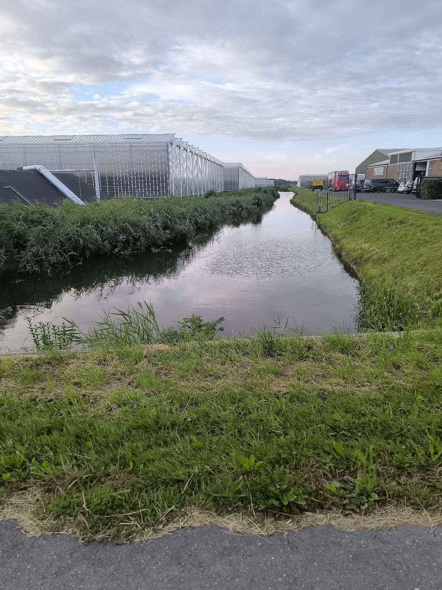 The image depicts an outdoor scene at dusk in Wervershoof, Netherlands, characterized by a narrow canal flowing through an industrial or agricultural area. On the left, a long, modern greenhouse structure with a glass roof stretches into the distance, bordered by tall, dense green reeds. The canal's dark water reflects the overcast sky and the surrounding vegetation. On the right bank of the canal, a grassy slope leads up to a paved area where several vehicles are parked, including a red and yellow truck, a dark van, and a few smaller cars. Behind the vehicles, a building with a green roof and brick facade is visible. The sky is filled with a mixture of clouds and patches of lighter sky, suggesting the end of the day. The foreground is dominated by a strip of asphalt, transitioning into a dense growth of grass and weeds.