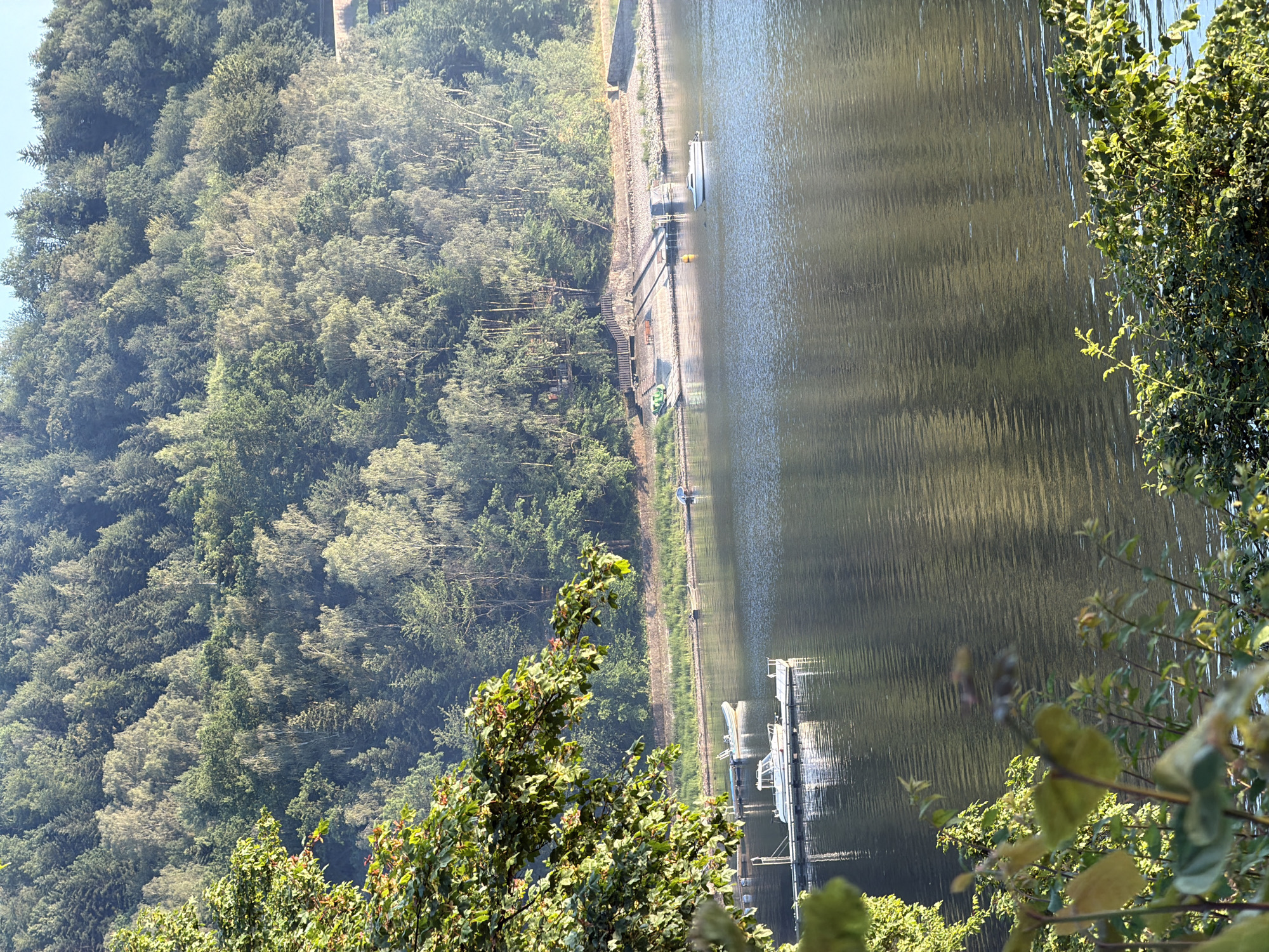 A wide shot captures a serene lake with a lush, forested hillside rising steeply behind it. The water's surface is calm, reflecting the surrounding trees and sky, with gentle ripples disturbing the reflection in some areas. In the foreground, the branches of leafy green trees partially obscure the view, adding depth and framing the scene.
On the lake, several boats are visible. To the left, a white motorboat is docked at a pier, its reflection sharp on the water. Further out, another white boat is moored. Near the shore, a small, light-colored boat is anchored. On the right side of the lake, a single white motorboat is cruising.
The shoreline is lined with a mixture of rocks and vegetation. A concrete structure with ramps extends into the water, suggesting a boat launch or docking area. The hillside is densely covered with a variety of trees, predominantly deciduous with lighter green foliage interspersed with darker evergreens. The sunlight casts a warm glow on the trees, highlighting their textures and the contours of the hillside. The sky above is a pale blue with hints of sunlight. The scene suggests a tranquil day at the Lipie Reservoir, a popular recreational area located in Lipie, Poland.