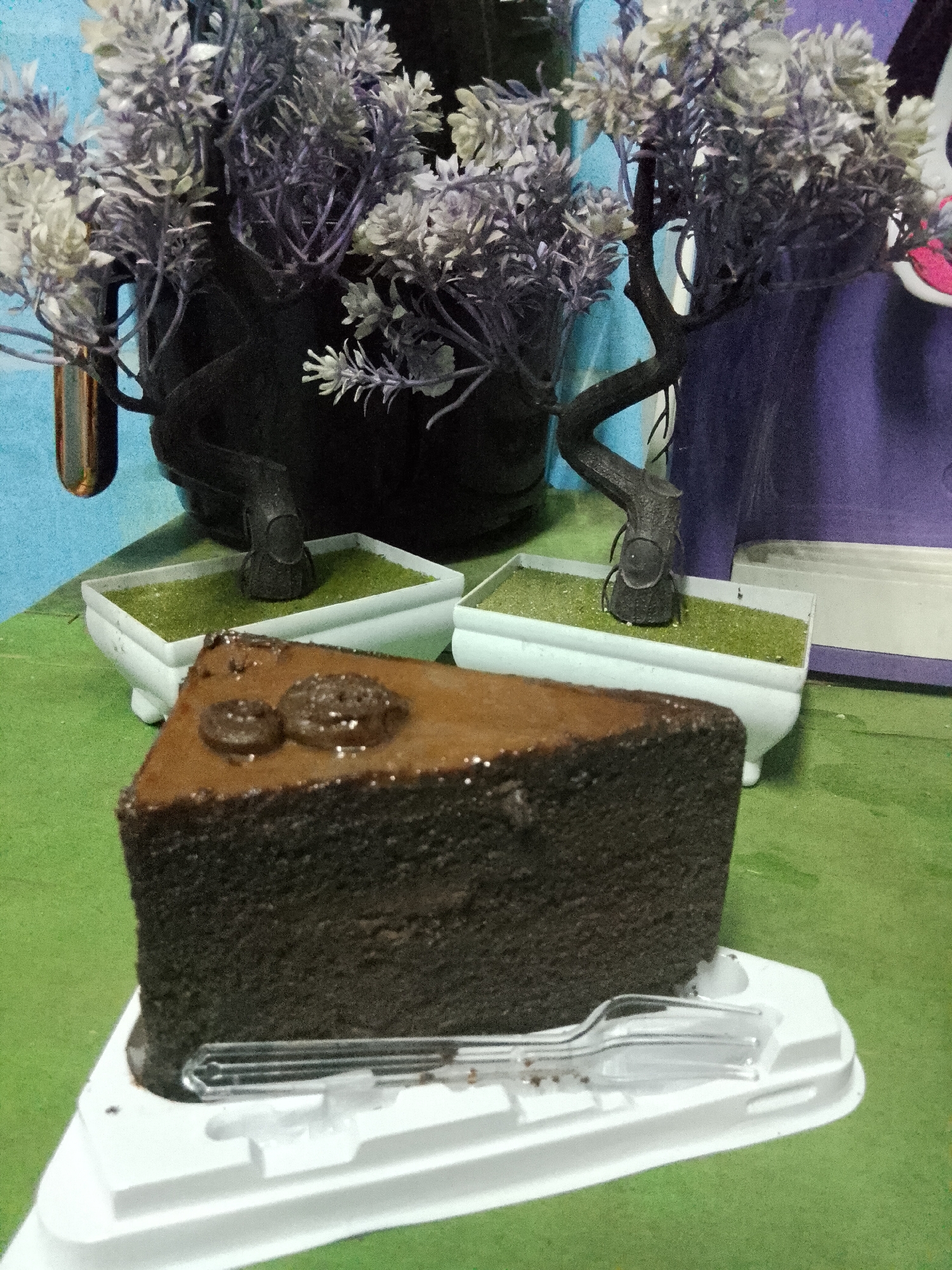A slice of chocolate cake, topped with two chocolate cookies, sits on a white plastic plate. The cake is dark brown and appears to be moist. The plate is triangular and has a clear plastic fork resting on it. In the background, there are two small white planters filled with green material that resembles grass. Behind the planters are artificial decorative plants in dark pots. The backdrop consists of a blue wall on the left and a purple fabric on the right. The scene is set on a green surface, possibly a table. The image is taken from a slightly elevated angle. There are no people present in the image. The location is identified as Bencongan, Indonesia.