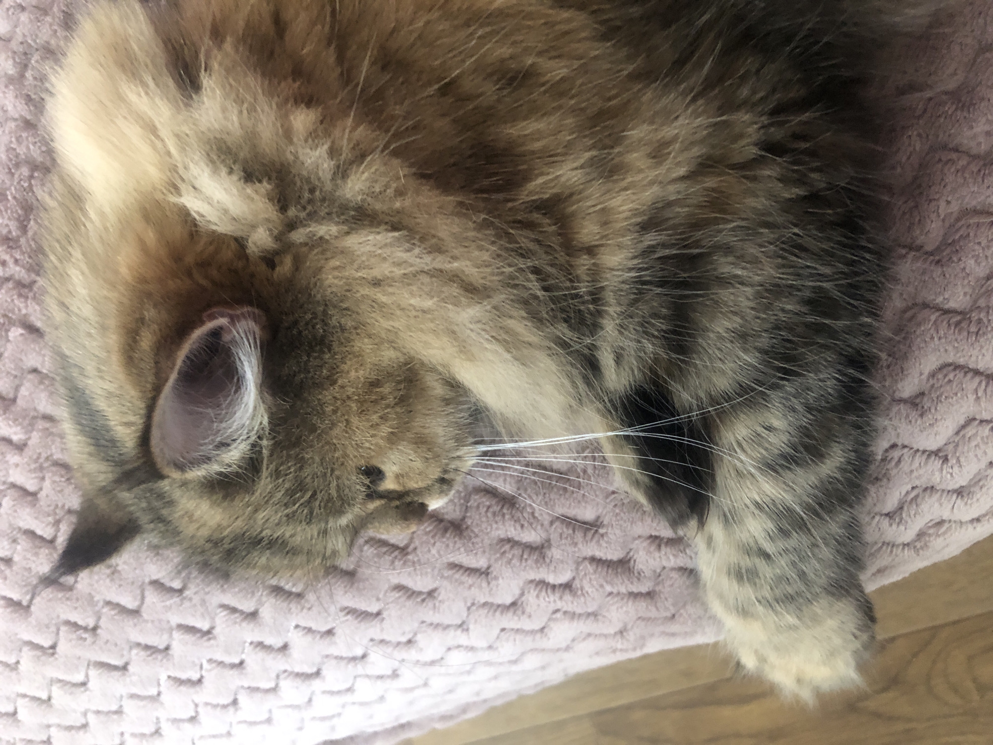 This is a close-up, overhead shot of a fluffy tabby cat sleeping on a textured, light pink blanket. The cat's fur is a mix of brown, black, and lighter tan stripes. Its head is turned, with one ear clearly visible and the other partially obscured by fur. The cat's eyes are closed, and its mouth is slightly open, revealing its whiskers. Its front paw is resting near its face, also partially covering its head. The blanket has a quilted pattern of interlocking wavy lines. The background is blurred, but appears to be a wooden surface. The lighting suggests it is daytime, possibly indoors. The overall mood is peaceful and serene, conveying the cat's deep sleep. There is no visible text in the image.