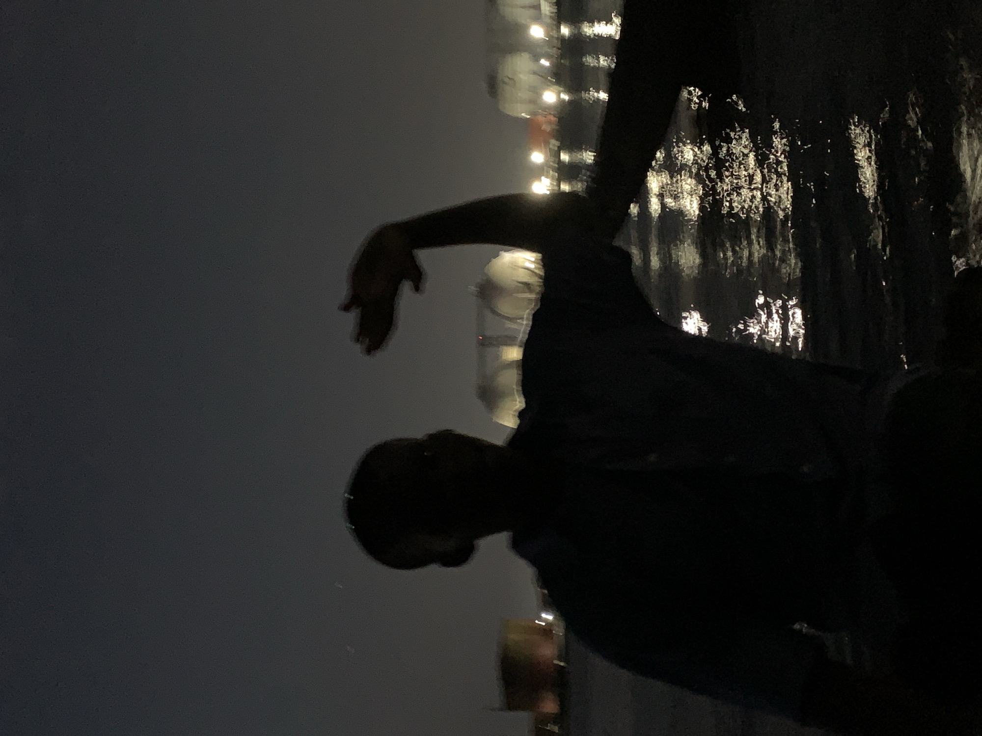 The image captures a dark nighttime scene by a body of water, likely a river or lagoon, in Ibasa, Nigeria. The primary subject is a person, visible as a stark silhouette against the dark environment, occupying the lower-left to mid-left portion of the frame. The person's head is seen in profile at the bottom-left, facing towards the right side of the image. Their left arm is outstretched horizontally across the frame, with the hand slightly blurred, appearing to reach out over the water. The person seems to be standing or seated at the water's edge.
To the right and above the person, a body of water dominates the middle and upper-right sections of the image. The water's surface, while dark, is highly reflective, shimmering with numerous bright, elongated streaks of light. These reflections are broken by ripples, indicating gentle movement on the water.
In the upper-right background, across the water, indistinct structures or buildings are vaguely discernible, punctuated by small, scattered points of light. These distant lights are the source of the intense reflections on the water. The scene is enveloped in darkness, characteristic of nighttime, with artificial lights providing the only illumination and creating a strong contrast between the deep silhouettes and the sparkling reflections. There is no visible text in the image. The overall mood is quiet and atmospheric, suggesting a moment of contemplation or interaction with the natural environment under the night sky.