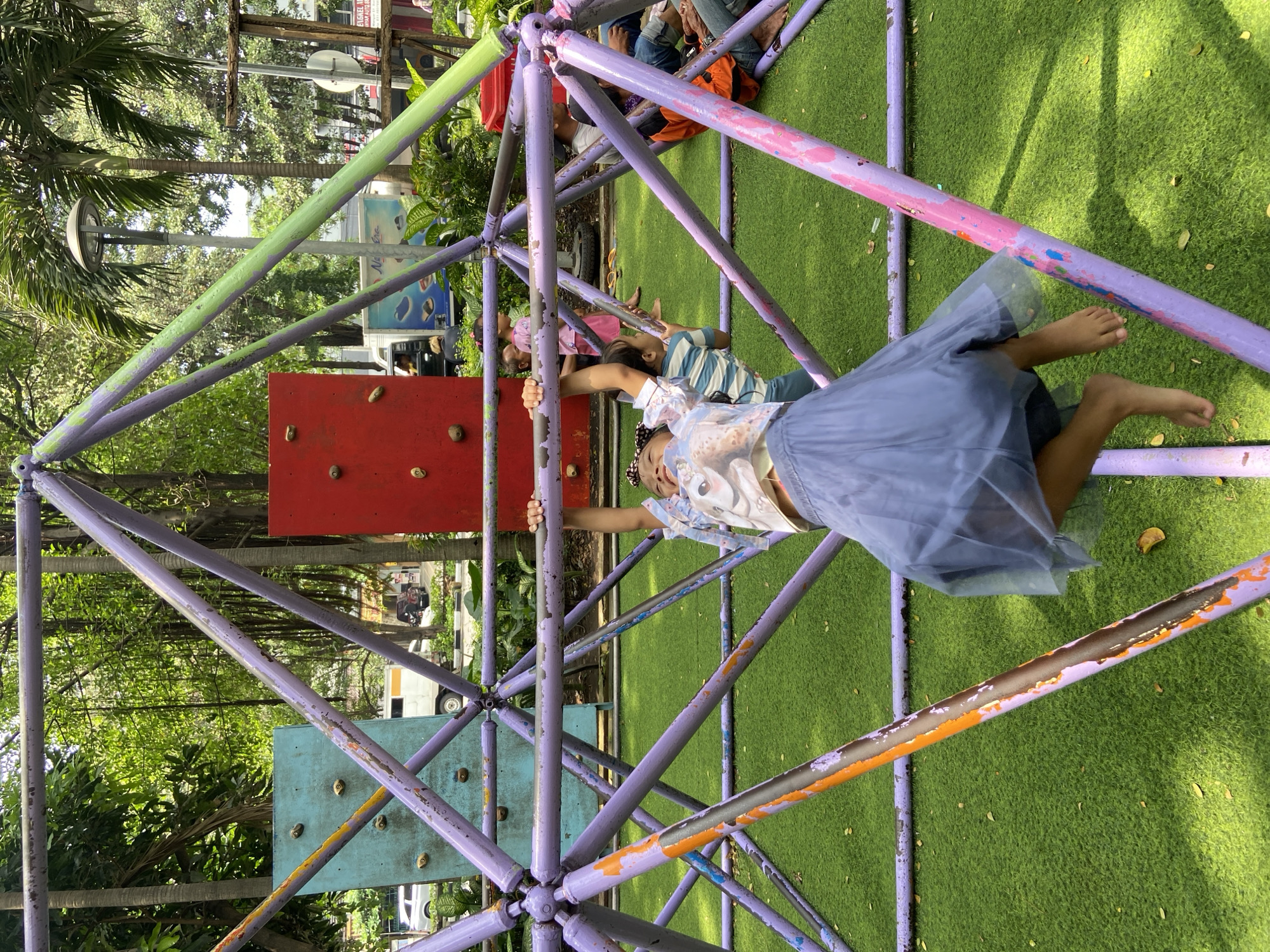 An outdoor playground in Surabaya, Indonesia, is captured under bright daylight, featuring a vibrant, multi-colored climbing structure on a bed of artificial green grass. The main subject is a young child, likely a girl, wearing a light-colored top and a flowing blue-grey skirt, actively playing on the purple monkey bars. She is hanging upside down, grasping a horizontal bar with both hands, her bare feet pointing upwards.
The climbing structure is constructed from interconnected metal bars, predominantly purple, but with significant wear and tear evident in chipped and faded paint, revealing patches of green, pink, and orange. Integrated into the frame are two rectangular climbing panels: a red one and a blue one, both equipped with yellow-orange climbing holds. Scattered dried leaves are visible on the artificial turf, indicating an outdoor setting amidst natural elements.
Several other children are present within and around the structure. One child in a striped shirt is visible through the bars, looking towards the main climber. Another child in a pink top is partially seen. In the background, adults' feet and legs are discernible, suggesting their presence in the playground area.
Beyond the immediate play area, a backdrop of lush tropical greenery, including tall palm trees and dense foliage, frames the scene. In the distance, a street light pole and hints of vehicles, including a white van or truck, are visible. Partial text on signs can be faintly read, including "ENGGAL RA..." and "WWW.AUTO.ID" on one, and "Nia De" on another. The children appear engaged in joyful recreation.
