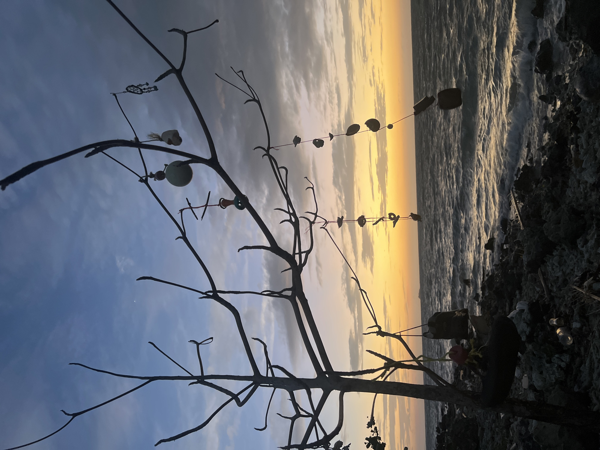 A bare tree stands silhouetted against a twilight sky on the rocky shore of Ko Pha-ngan District, Thailand. The sky transitions from a deep blue at the top to a vibrant orange and yellow horizon where the sun has set. Wispy clouds are scattered across the sky. The tree has many thin branches, some of which are adorned with small, decorative objects. These decorations include what appear to be shells, beads, and possibly a small dreamcatcher. The ocean is visible in the background, with moderate waves crashing against the shore. The foreground is a rocky coastline, littered with stones and some debris, including what looks like a plastic bottle and a deflated rubber object hanging from the tree. The overall scene suggests a natural coastal environment at dusk.