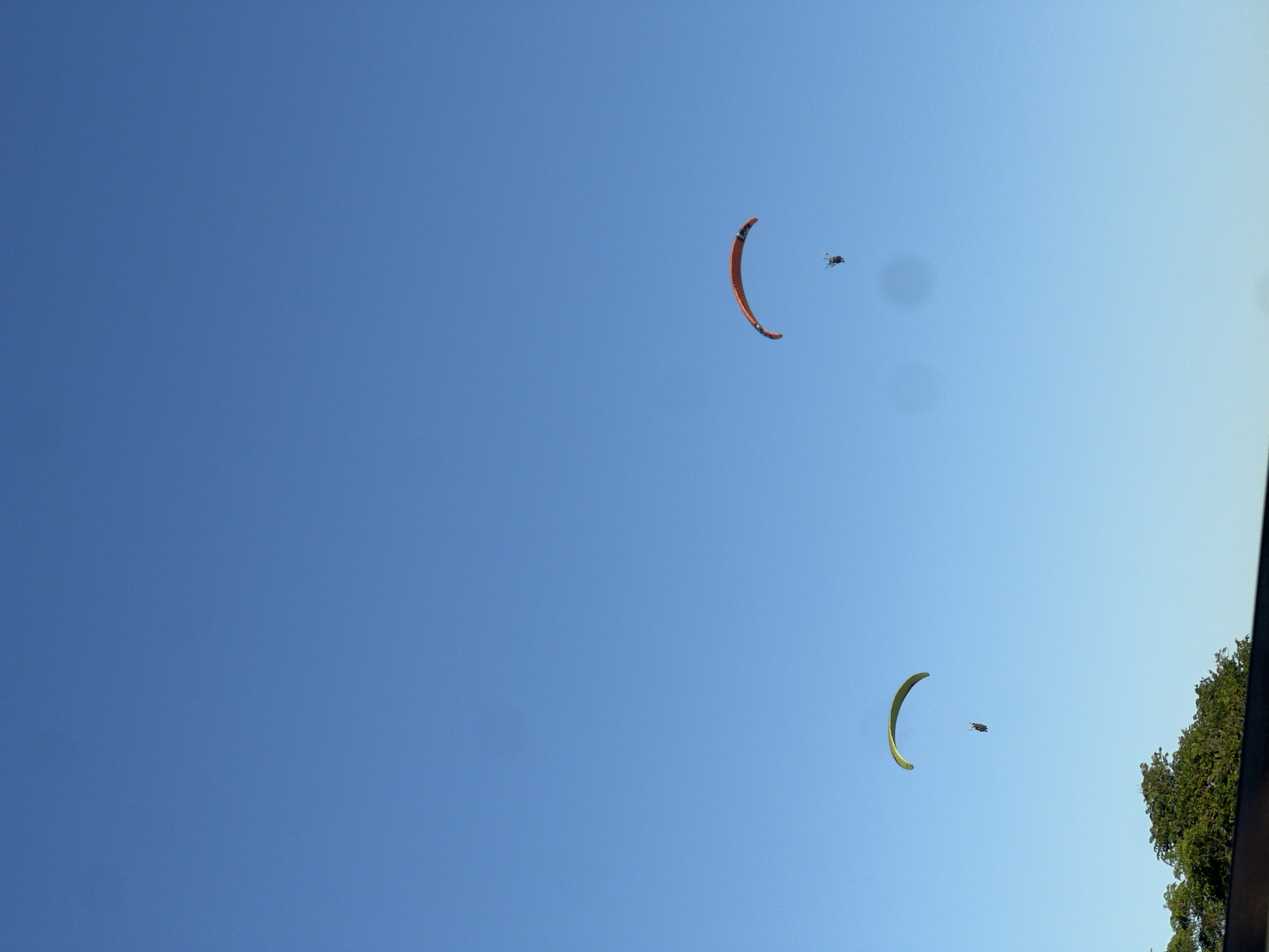 The image displays a clear, bright blue sky with two individuals engaged in paramotoring. The perspective is upward-looking, suggesting the camera was pointed towards the sky and rotated, as indicated by the image's vertical orientation.
In the upper right section of the expansive sky, an orange paraglider wing is visible, with a small, dark figure suspended beneath it, representing a person operating a motor. Further down and slightly to the right, a second paraglider with a distinct lime green wing is seen, also with a dark figure and motor attached. Both paragliders appear to be actively flying.
The sky is free of clouds, indicating sunny and fair weather conditions during the daytime. In the bottom right corner, the green foliage of trees is partially visible, along with a dark, narrow vertical strip, possibly part of a window frame or building structure. Several dark, circular smudges, likely artifacts such as lens flares or dust on the camera sensor, are noticeable against the blue background, particularly near the paragliders. No text is visible in the media file.
