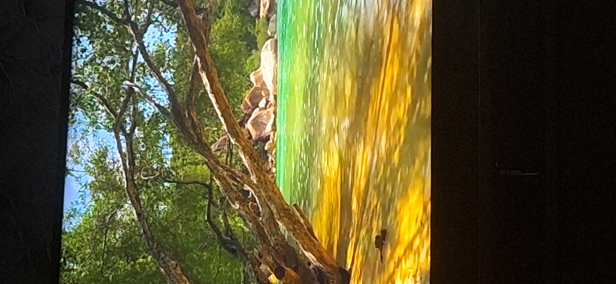 The image depicts a serene tropical beach scene, bathed in bright sunlight. In the foreground, a large, gnarled tree branch extends from the left side of the frame, its textured bark and winding shape adding a sense of age and character. The branch casts dappled shadows onto the shallow, golden sand beneath it. Beyond the sand, crystal-clear, turquoise water stretches out, its surface reflecting the sunlight and creating a shimmering effect. In the middle ground, a cluster of large, smooth boulders are partially submerged in the water, forming a natural barrier. Lush green foliage and trees densely cover the background, suggesting a tropical island setting. The sky above is a bright, clear blue, indicative of a sunny day. There are no people visible in the image, focusing the scene entirely on the natural landscape. The image does not contain any elements that would suggest a location in Bila Tserkva, Ukraine.