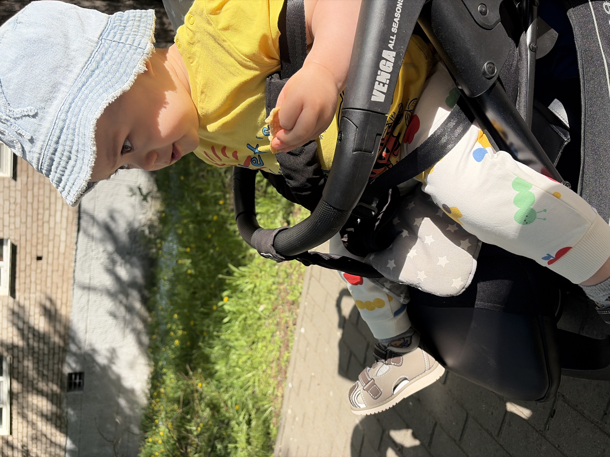 A baby wearing a light blue denim hat, yellow shirt, and patterned pants sits in a stroller. The stroller has "VENGA ALL SEASONS" printed on its side bar. The baby is holding a small piece of food in their hand. The baby is wearing beige sandals. The stroller is on a paved surface next to a grassy area with dandelions. In the background is a building. The location may be Chaikovsky, Russia.