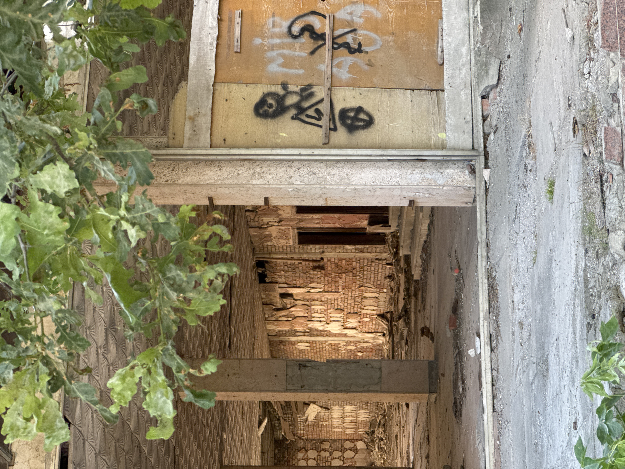 The image depicts the interior of a derelict building, likely an abandoned commercial space or office, located in Odesa, Ukraine. Green foliage hangs from branches in the foreground, obscuring the upper portion of the scene. The interior is characterized by crumbling brick walls, fallen debris, and a patterned ceiling. Support columns are visible, along with doorways leading to other dark interior spaces. The entrance area in the foreground shows a rough concrete floor and a boarded-up section of the wall with spray-painted graffiti. The overall impression is one of decay and abandonment.