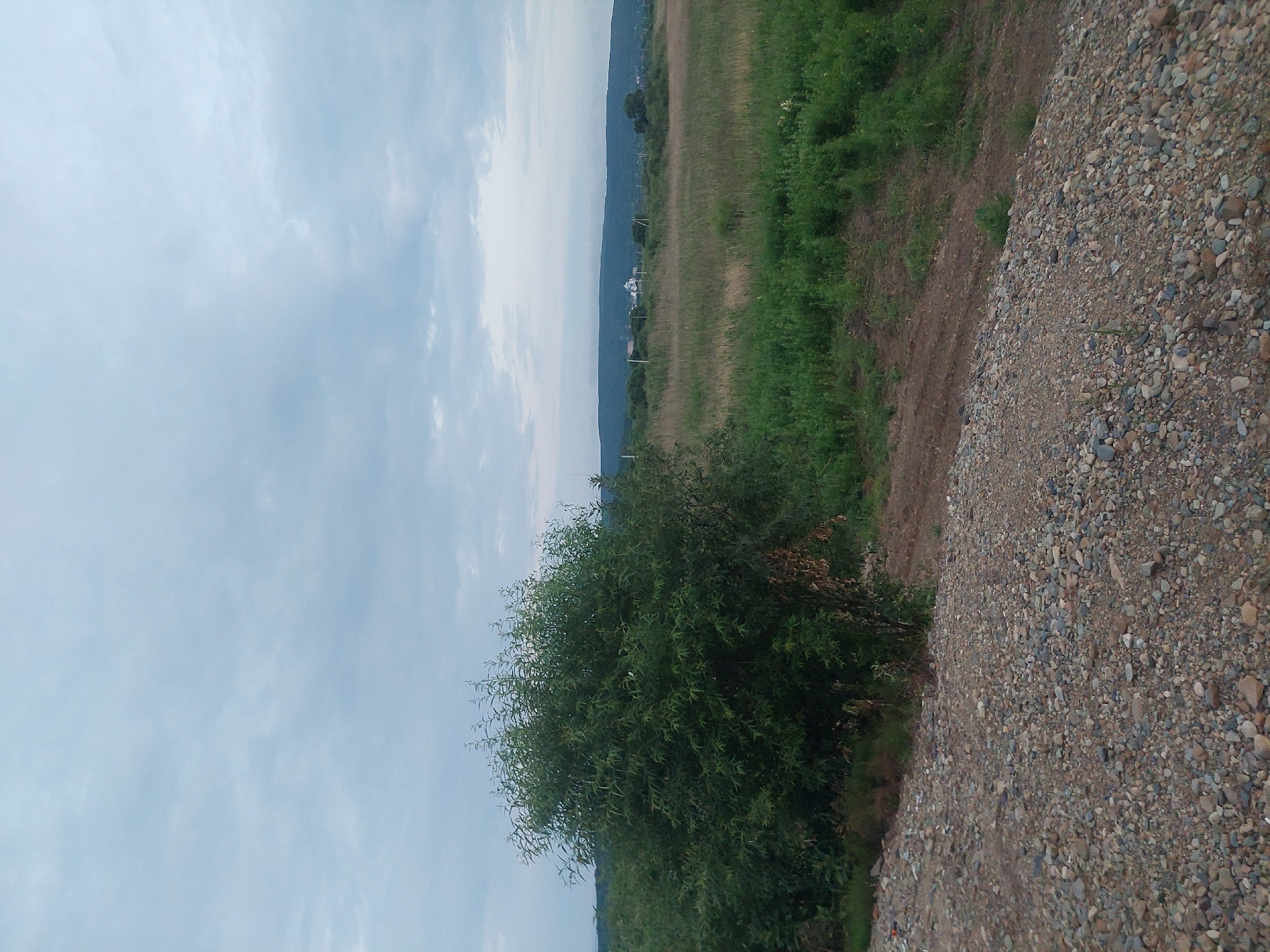 The image depicts an outdoor scene with a cloudy sky overhead. In the foreground, a slope is covered with gravel and rocks. To the left, a dense green bush or small tree is prominent. Beyond the bush, a field with tall, dry grass and green vegetation stretches towards a distant hilly horizon. A few small buildings, possibly houses, are visible in the distance, nestled amongst trees and along the base of the hills. The overall impression is a rural landscape under an overcast sky. No people are visible in the image. The location is identified as Razdol'noe, Russia.