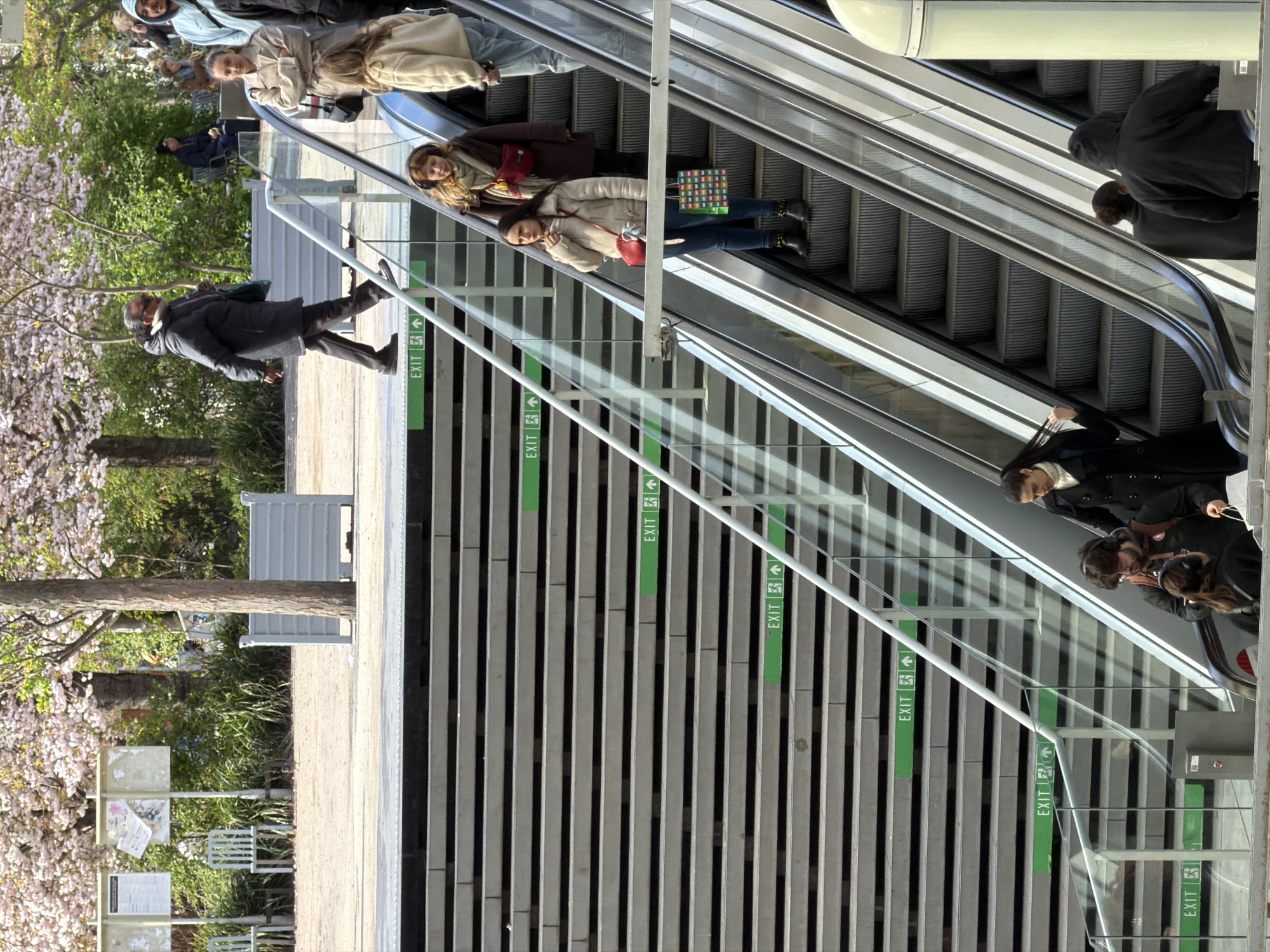 This image depicts a multi-level urban public space in Paris, France, specifically within or immediately adjacent to the Forum des Halles and its connection to the Châtelet Les Halles transport hub. The scene features two parallel sets of ascending escalators, flanked on the left by a multi-tiered architectural structure composed of horizontal grey slats.
**Environment:** The upper level, visible in the background, is a paved outdoor area resembling a park, abundant with trees featuring pink blossoms, indicative of springtime. Green bushes and two light-colored information boards are also present. The lower and mid-levels are characterized by modern, grey architecture, with clear glass panels forming the escalator railings. Natural daylight illuminates the entire scene.
**Objects:** The prominent objects are the two escalators with dark grey steps and transparent glass side panels. To their left, a fixed structure of stacked horizontal grey beams or slats features several illuminated green "EXIT" signs, each displaying a walking figure pictogram and an upward arrow, indicating an exit direction. On the upper level, two white outdoor chairs and a light grey rectangular planter or barrier are visible.
**People:** Approximately 15 individuals are present, engaged in various movements:
* **Upper Level:** One person, wearing a dark coat and sunglasses, walks left-to-right on the paved surface, carrying a light blue bag. Another person sits on a dark bench in the distance.
* **Mid-Level (on escalators):** A woman with dark hair, wearing a beige puffy jacket, blue jeans, black boots, a red crossbody bag, and holding a multi-colored shopping bag, ascends the left escalator. Directly behind her, another woman with light brown hair, wearing a dark brown coat, beige scarf, and over-ear headphones, also ascends. Other individuals are partially visible further up both escalators.
* **Lower Level (at escalator base):** A small group congregates at the bottom of the left escalator; one woman with long dark hair, wearing a black coat and white scarf, touches her hair, while a man with glasses and headphones, wearing a dark jacket and backpack, stands nearby. At the base of the right escalator, two individuals in dark clothing, one with a hood, are visible from behind.
**Actions and Interactions:** Most individuals are in transit, ascending the escalators or walking on the upper level. There are no explicit direct interactions observed between the individuals in the immediate foreground; they appear to be moving independently through the public space.