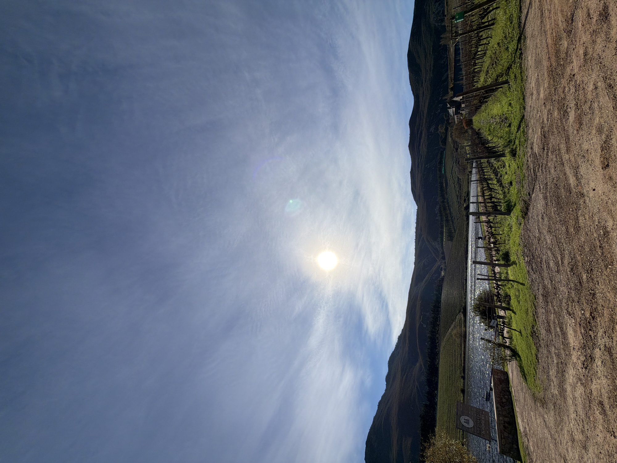 This is a vertical, eye-level, medium shot photograph of a vineyard and lake with mountains in the background, under a bright, partly cloudy sky. The sun is visible in the upper center of the image, appearing as a bright, white orb with lens flare. Wispy white clouds are scattered across a pale blue sky.
In the mid-ground, a body of water, likely a lake or dam, reflects the sunlight, creating a shimmering surface. Along the edge of the water, there is a small stone wall and a wooden sign with text, potentially indicating a winery or establishment. Rows of dormant grapevines stretch from the foreground towards the lake, with some green grass growing between them. A dirt path occupies the bottom portion of the frame.
Further back, tiered vineyards cover the slopes of dark, rolling hills. The hills are covered in scrub and trees, with some sections appearing darker than others. A building with a dark roof is visible nestled among the trees on the hillside. The overall scene suggests a rural setting, possibly a winery in the region of Theewaterskloof Nu, South Africa, known for its viticulture. There is one person visible in the far right mid-ground, seated near the vineyard.