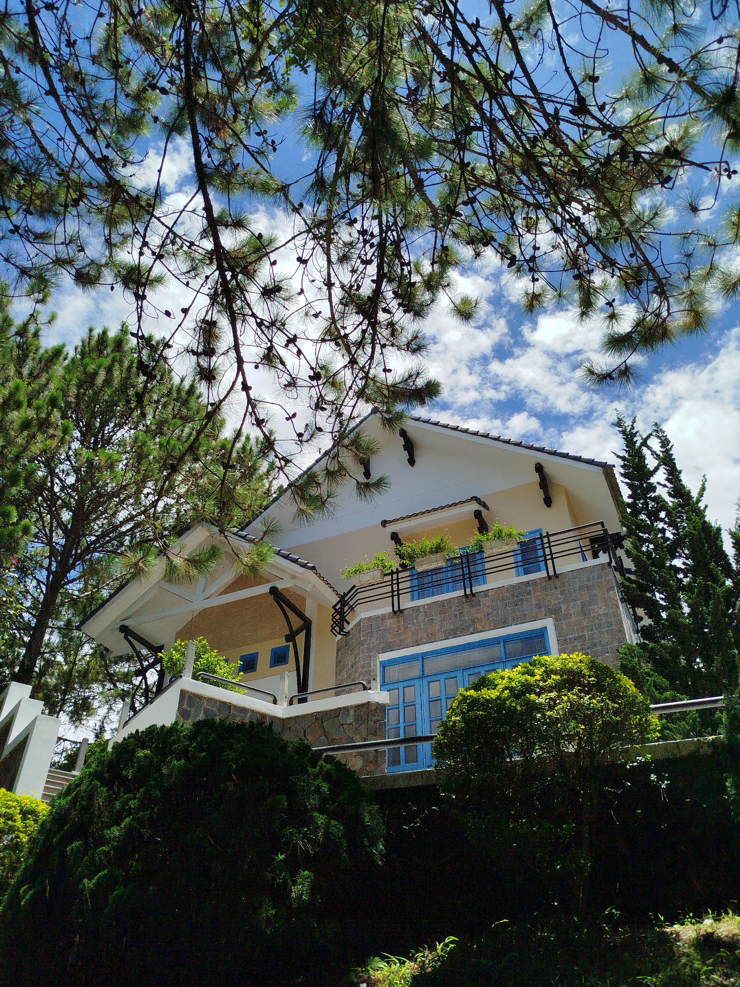 The image shows a two-story house with white and stone exterior walls, set against a backdrop of pine trees and a blue sky with scattered clouds. The house features blue-framed windows and a balcony with black metal railings. The front of the house is partially obscured by lush green bushes. Overhanging pine tree branches frame the top of the image. The location is likely in Lâm Viên, Đà Lạt, Vietnam, given the presence of pine trees and the architectural style of the house. No people are visible in the image.
