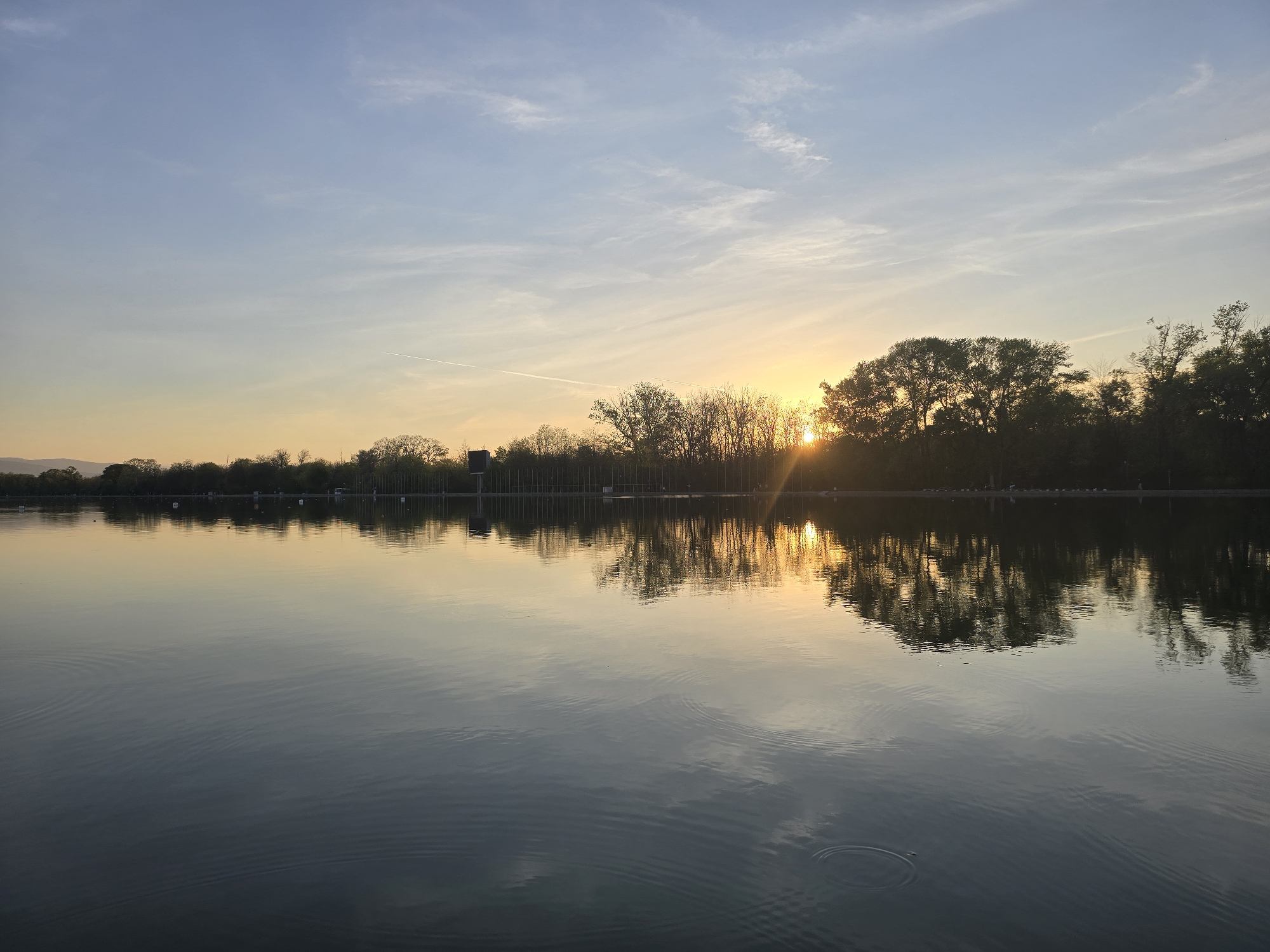 The image presents a tranquil natural landscape at either sunrise or sunset, centered around a wide body of calm water, likely a lake or large river. The sky above displays a gradient of colors, transitioning from a soft blue at the top to a warm, golden yellow near the horizon.
A line of deciduous trees, mostly bare or with sparse leaves, stretches across the far bank, appearing as dark silhouettes against the bright sky. The low sun is partly obscured by these trees on the right side of the frame, casting a strong, golden glow and soft light rays. A faint white contrail from an aircraft is visible high in the upper sky.
The water surface is smooth and largely still, creating an almost perfect mirror reflection of the sky and the silhouetted trees, capturing the golden hues of the sun and the blue tones of the upper sky. In the foreground, several sets of concentric ripples gently disturb the otherwise placid water, suggesting a minor disturbance. No people or specific activities are visible. The overall scene conveys a sense of peacefulness and natural beauty. There is no visible text.