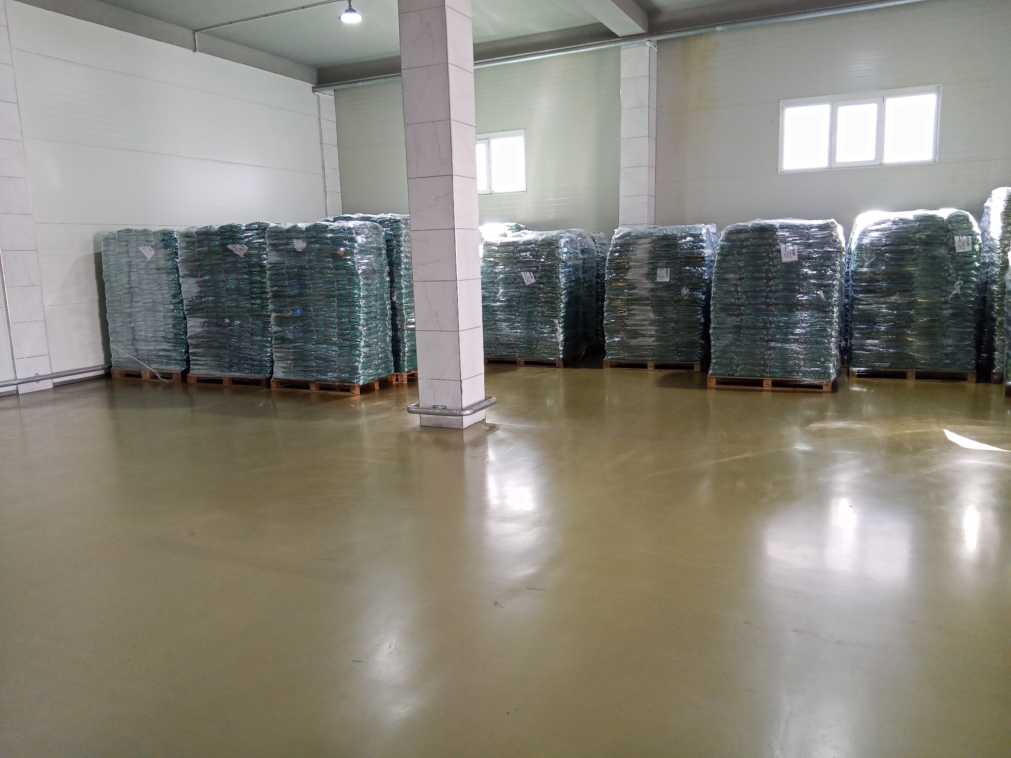 The image depicts a warehouse interior, likely located in Ceadîr-Lunga, Moldova. The scene is dominated by stacks of large, green bags, individually wrapped in clear plastic, resting on wooden pallets. These stacks are arranged in rows across the floor. The warehouse features high, white, panelled walls and a suspended ceiling with industrial lighting. Structural columns, clad in a marble-like tile pattern, are visible within the space. Natural light emanates from a series of windows on the back wall. The floor is a smooth, light brown epoxy coating, reflecting the light from the windows and ceiling fixtures. No individuals are present in the image.