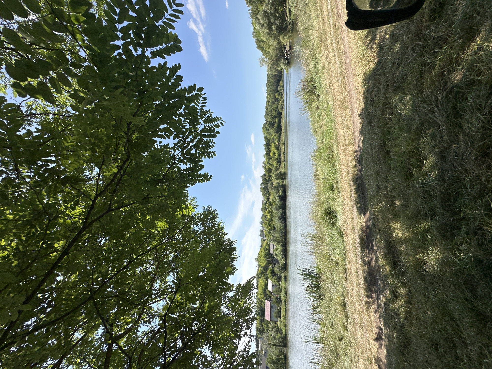 This is a medium shot of a serene river landscape on a sunny day, framed by lush green tree branches overhead. The river, the central focus, reflects the clear blue sky dotted with wispy white clouds. The foreground is a gently sloping grassy bank, with dry, mown grass in patches and taller green grass closer to the water's edge. A dirt path or track runs diagonally across the grass. On the opposite bank, a line of trees forms a dense backdrop, interspersed with a few houses with red roofs. The image appears to be taken from a location near the water, possibly from a vehicle given the partial view of a dark rearview mirror on the right edge. The scene evokes a peaceful, rural atmosphere. Based on the provided context, this landscape is situated in the village of Makiv, Ukraine.