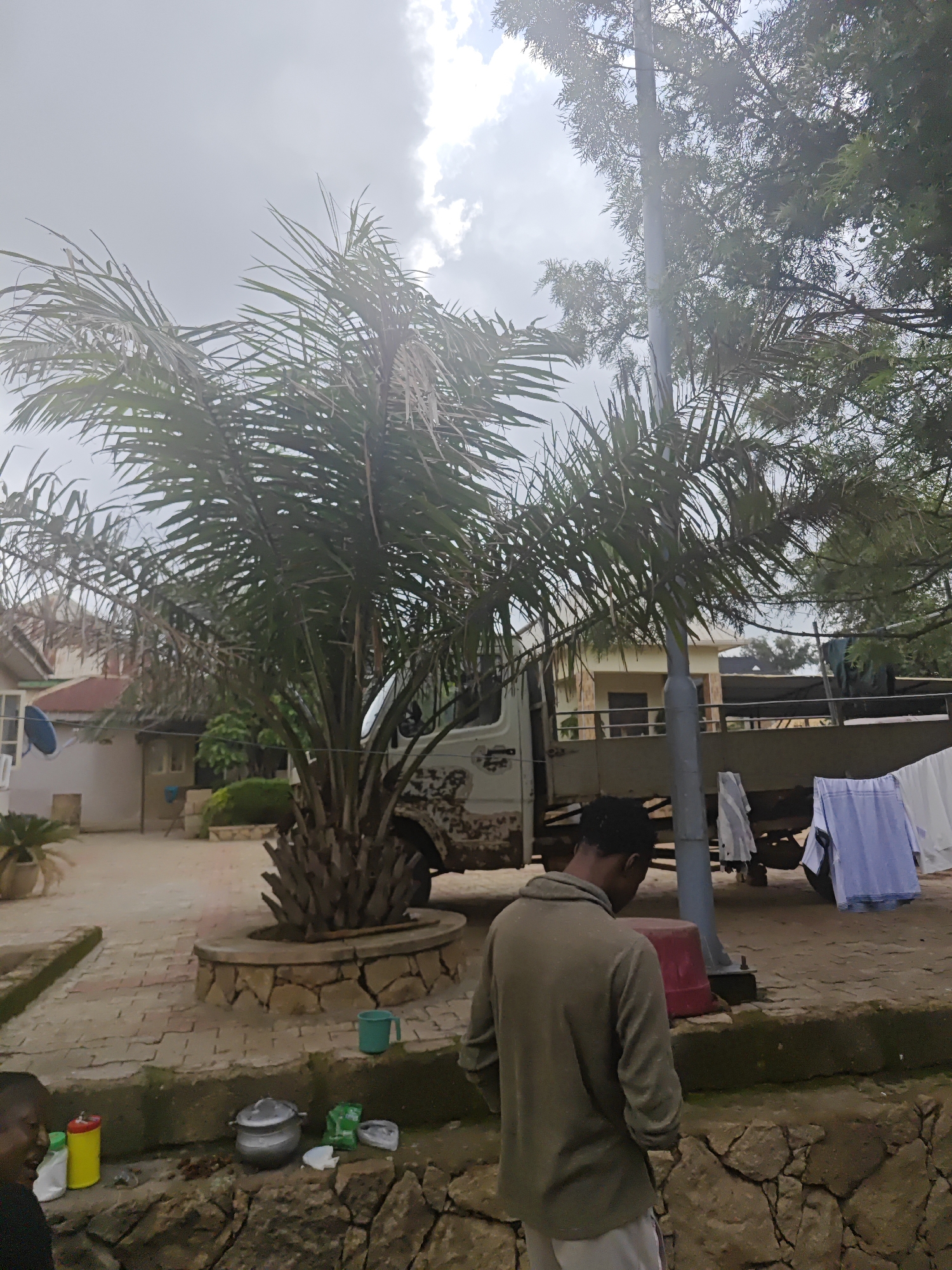 The image depicts an outdoor scene in Bukuru, Nigeria, with a focus on everyday life activities. In the foreground, a person wearing a green hoodie and light-colored pants is visible from the back, standing near a rocky embankment. Several cooking pots and containers are arranged on a paved surface near the embankment, suggesting meal preparation. To the left, another individual is partially visible, and a yellow and red container is present.
In the mid-ground, a large truck is parked, and laundry, including a blue and white striped shirt, is hanging to dry on a clothesline attached to the truck or a nearby structure. Two palm trees dominate the central part of the image, with their fronds reaching upwards. Behind the trees, a building with a red roof and beige walls is visible, with some windows and a satellite dish attached to the exterior.
The environment appears to be a residential or communal area, with paved walkways and a rocky natural boundary. The sky is overcast with clouds, indicating a possibly humid or rainy day. The scene conveys a sense of domestic activity and everyday life in a Nigerian setting.