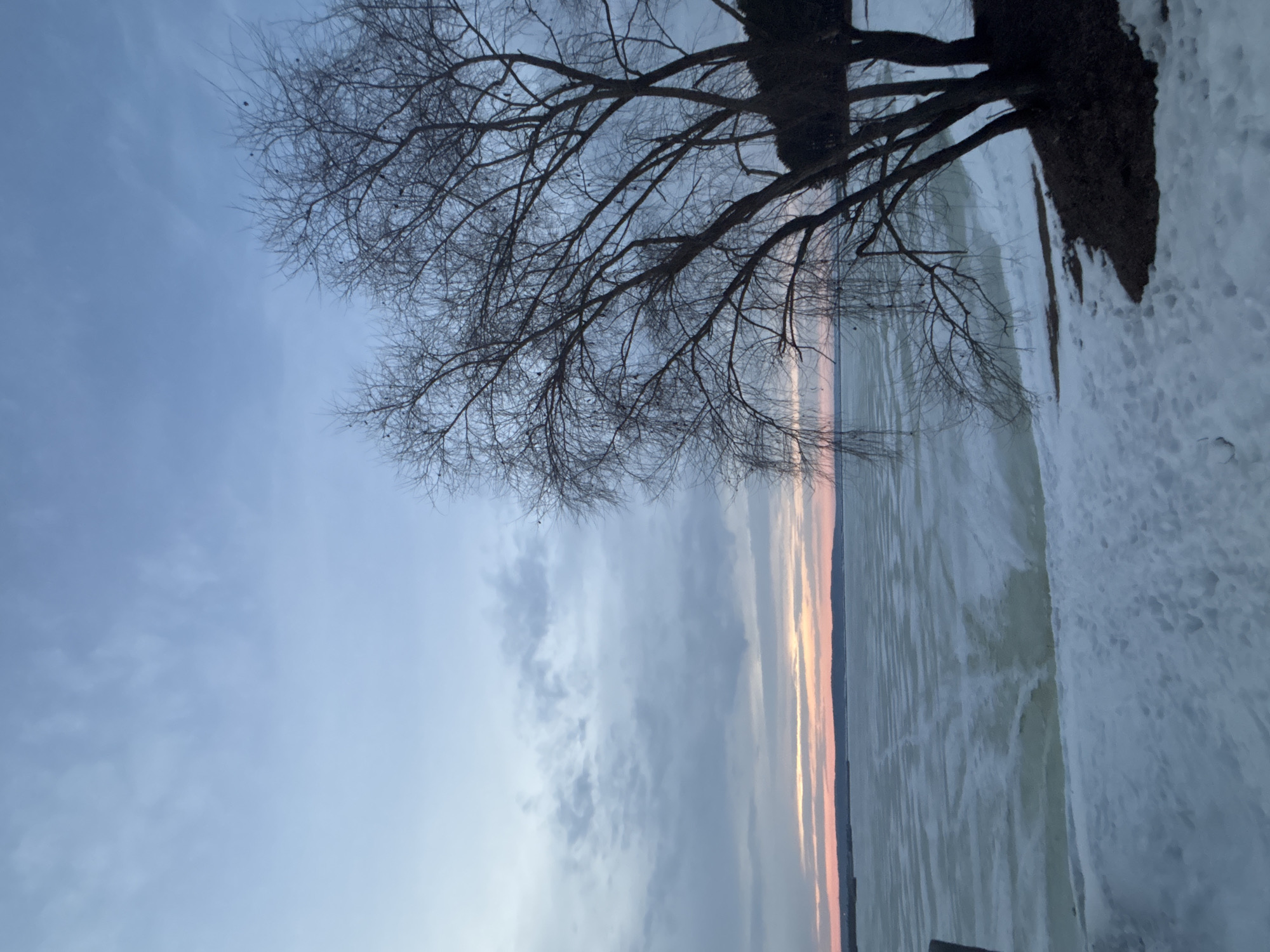 The image captures a winter scene, possibly at sunset, in what appears to be a shoreline location. Dominating the foreground is a bare tree, its branches intricately spread against a cloudy sky. The lower portion of the image shows what is likely a frozen lake or body of water, and a snow-covered shoreline. The setting sun is creating a visible gradient of colors on the horizon. The location is reported to be Chaikovsky, Russia. No people are visible.