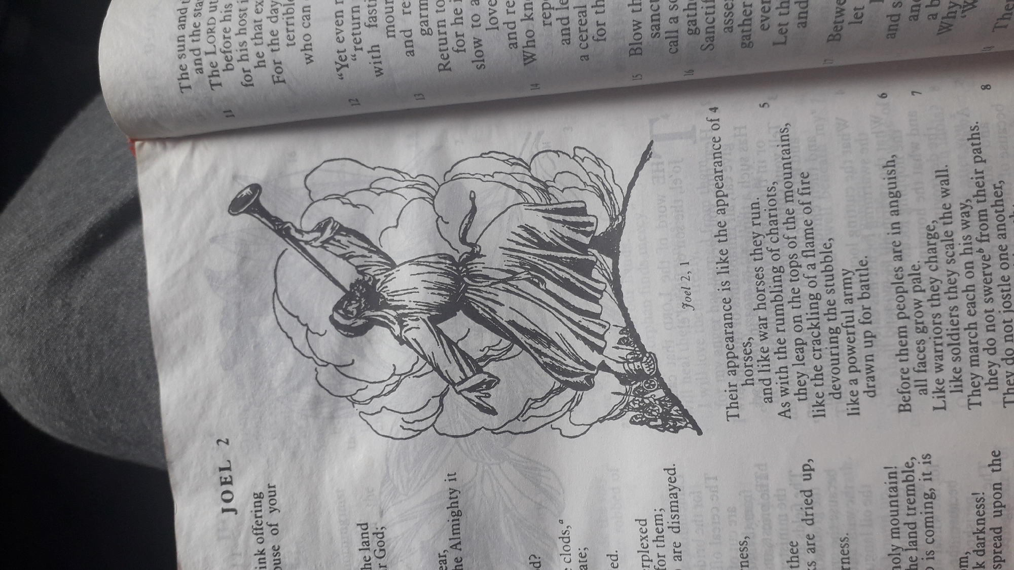 The image is of a book page depicting the biblical text of Joel 2. Next to the text is an illustration of an angel blowing a trumpet, surrounded by clouds. The location in the city of Nkpor, Nigeria is not depicted in the image.
