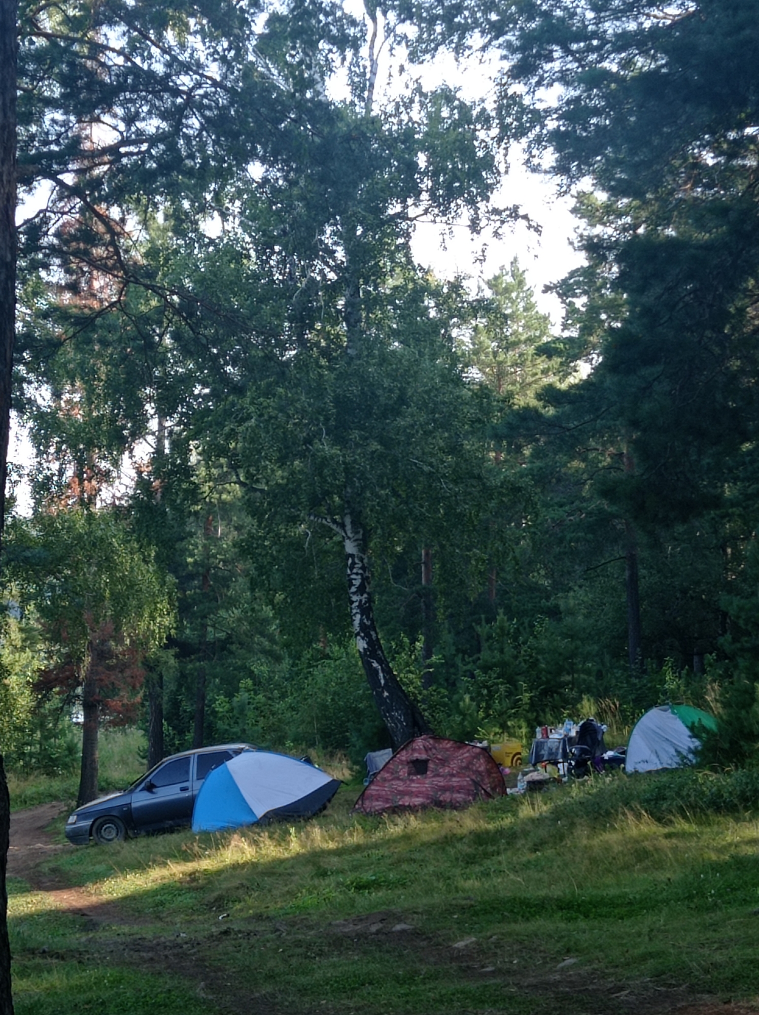The image depicts a forested area with a campsite. A dark-colored sedan is parked on a dirt path to the left. In front of the car and to the right, there are three tents. One tent is blue and white, another is a reddish-brown camouflage pattern, and a third tent on the far right is white and green. A table with chairs and possibly some camping equipment is set up between the reddish-brown and white/green tents. The environment is characterized by dense trees, including pine and birch trees, with sunlight filtering through the canopy, casting shadows on the grassy ground. The scene appears to be a natural setting, likely a park or camping ground within or near the city of Degtyarsk, Russia, judging by the context provided. No people are visible in the image.