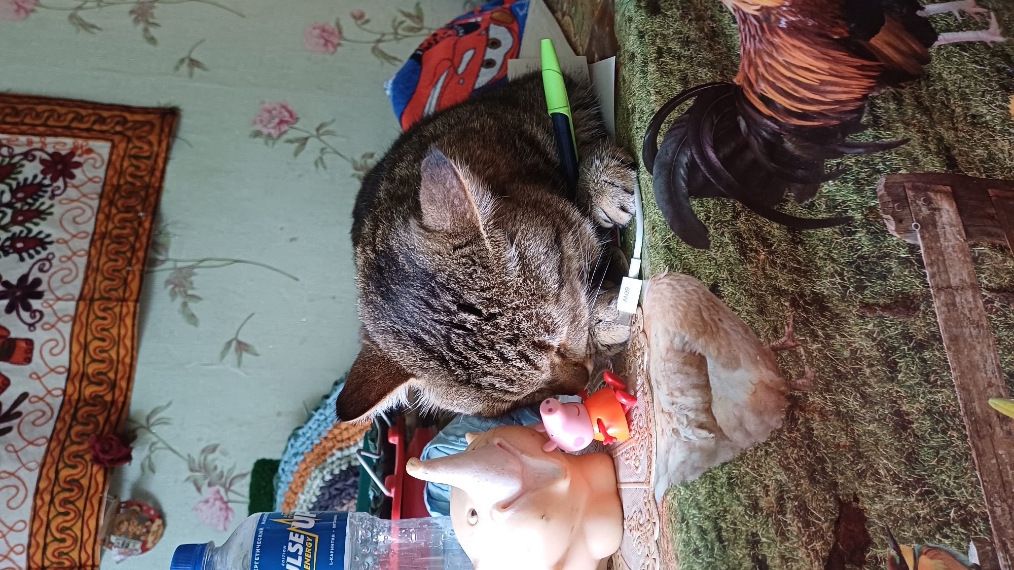 The image depicts a domestic cat, likely a tabby, sleeping on a table covered with a patterned cloth. The cat is curled up with its head resting on its paws, and a green pen is placed across its back. To the cat's left are two plastic figurines: a light-colored elephant and a pink piglet dressed in an orange outfit. A partially visible bottle of "Pulse Energy" drink is positioned behind the figurines. In the background, a tapestry with decorative patterns hangs on a wall with floral wallpaper. The foreground of the image features a printed tablecloth with depictions of a chicken and a rooster on a grassy background. The scene appears to be set indoors, possibly in a residential dwelling in Izhevsk, Russia, given the context of the question.