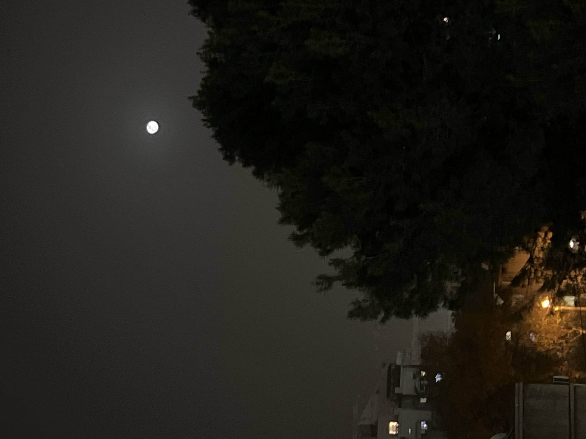 A dimly lit nighttime scene in Kiryat Bialik, Israel. Dominating the right side is a large, dark tree. In the sky on the left, a bright, round moon illuminates the otherwise dark and hazy sky. Beneath the tree, lights from buildings are visible, indicating urban development. A street light glows on the lower right of the frame.