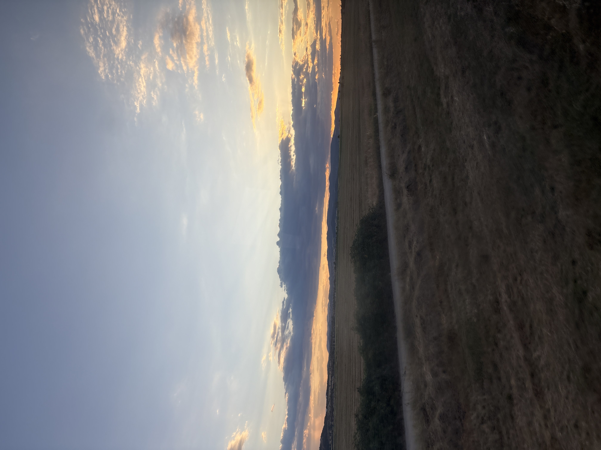The image captures a rural landscape under a twilight sky, likely near Tsar Asen, Bulgaria. The foreground features dry, brown grass and a dusty, unpaved road running horizontally across the frame. Beyond the road, a dark green line of trees and bushes forms a dense barrier. Further in the distance, a wide, flat field of harvested crops stretches towards a low range of hills. The sky above is a gradient of soft blues and oranges, transitioning from a pale clear blue at the top to vibrant hues of orange and yellow near the horizon. Scattered clouds, tinged with pink and orange by the setting sun, create dramatic shadows and highlights across the sky and the distant landscape. No people or animals are visible in the scene, and the environment appears still and quiet, indicative of a rural setting at dusk.