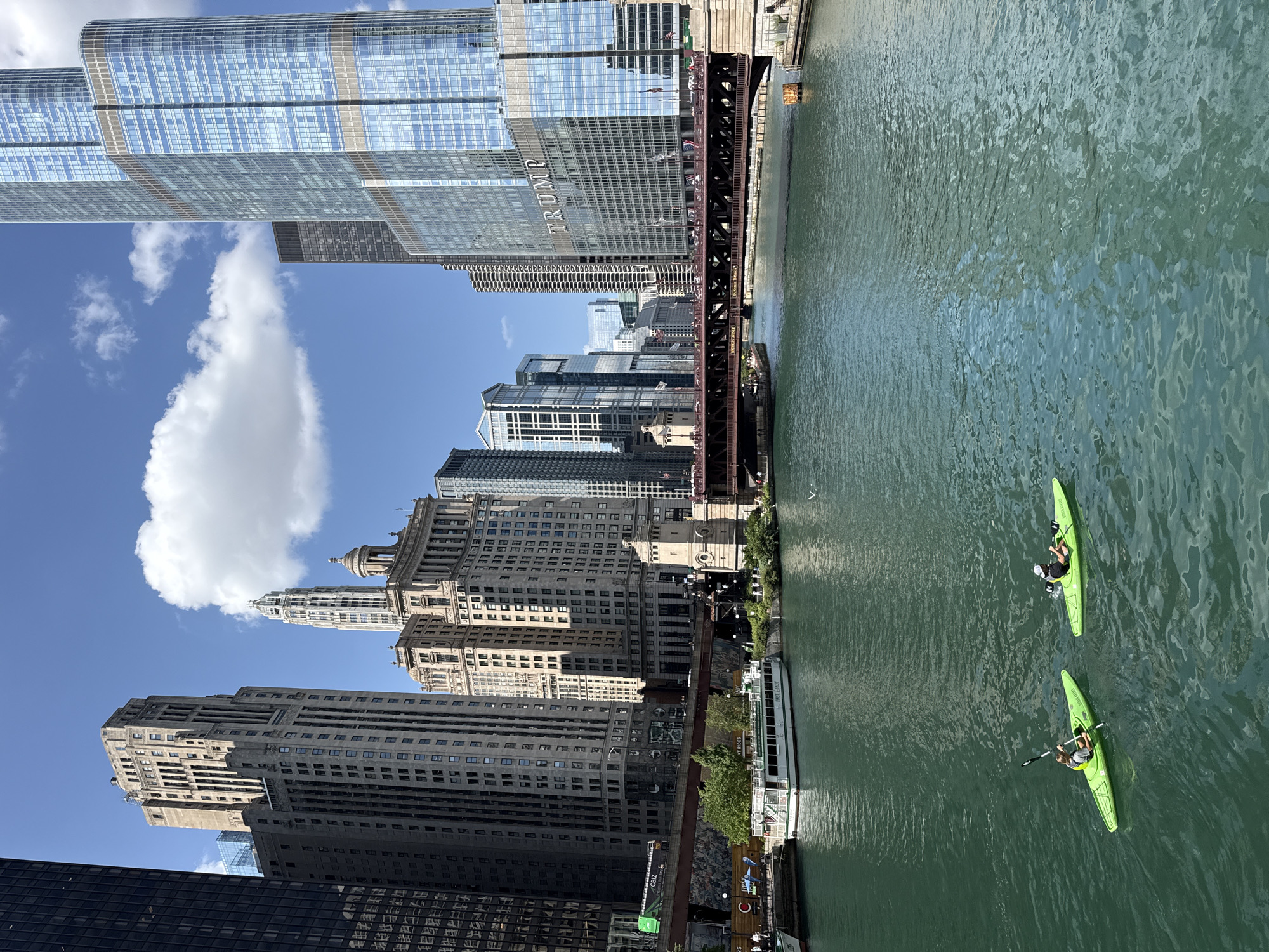 Two individuals are kayaking on the Chicago River. The river is a vibrant green, reflecting the sky and the surrounding buildings. In the background, a procession of tall buildings lines the riverbank, including the Trump International Hotel & Tower Chicago, identifiable by its prominent signage. A red metal bridge spans the river, with traffic visible on its deck. On the riverbank, a white tour boat is docked, and several trees and patches of green foliage soften the urban landscape. The sky is a clear blue with scattered white clouds, suggesting a pleasant day.