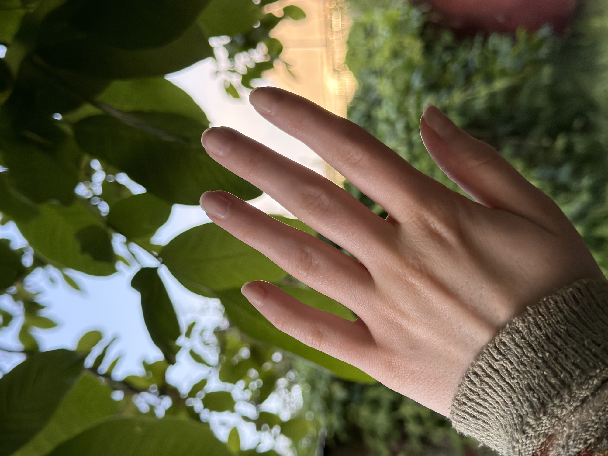 A close-up shot depicts a fair-skinned hand, presumably of a person, with a knitted olive green sweater sleeve partially visible at the wrist. The hand is positioned against a backdrop of green foliage, possibly a tree or shrub, with diffused sunlight filtering through the leaves. The scene appears to be outdoors, with the vegetation lending a natural atmosphere. The hand is extended with fingers slightly separated. The nails are short and neatly manicured, with a natural color. The overall composition suggests a casual or candid moment, possibly taken in natural light. The location is Beryozovy, Russia, with an outdoor environment with a background of greenery and foliage.