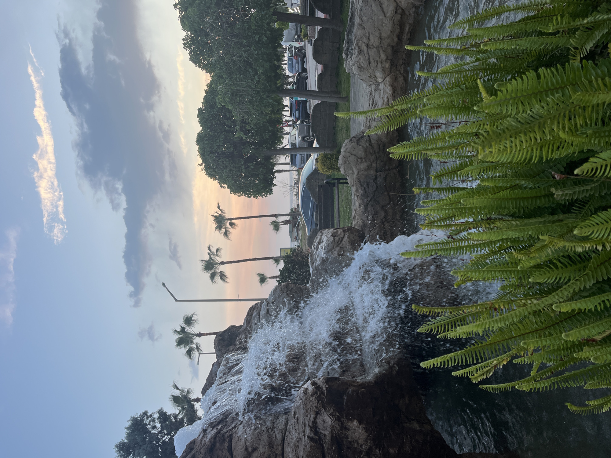 This landscape-oriented image, captured in Alanya, Turkey, features a multi-tiered artificial waterfall as its central subject, viewed during either sunrise or sunset. The waterfall cascades over dark, rugged rock formations, creating white, frothy water that splashes vigorously downwards.
In the foreground, to the right, a dense cluster of lush, bright green ferns with prominent pinnate fronds partially frames the rushing water, adding a vibrant natural element to the scene. The water flows into a dark pool at the bottom.
Beyond the waterfall, in the midground, several tall, leafy trees are visible, lining what appears to be a paved area or road. A number of parked cars, including sedans and SUVs of various colors, are discernible behind these trees. Further to the left and in the background, slender palm trees stand against the sky, their fronds silhouetted by the soft light. A few unlit streetlights are also visible among the palm trees.
The sky, a notable feature, exhibits a beautiful gradient of soft blues, grays, and gentle orange-pink hues, characteristic of either dusk or dawn. Scattered clouds are present, along with a distinct, thin contrail in the upper left portion of the sky. The overall lighting is soft and ambient.
The scene combines natural landscaping with urban elements, evoking a tranquil atmosphere. There are no people visible in the image, and no discernible text can be found.