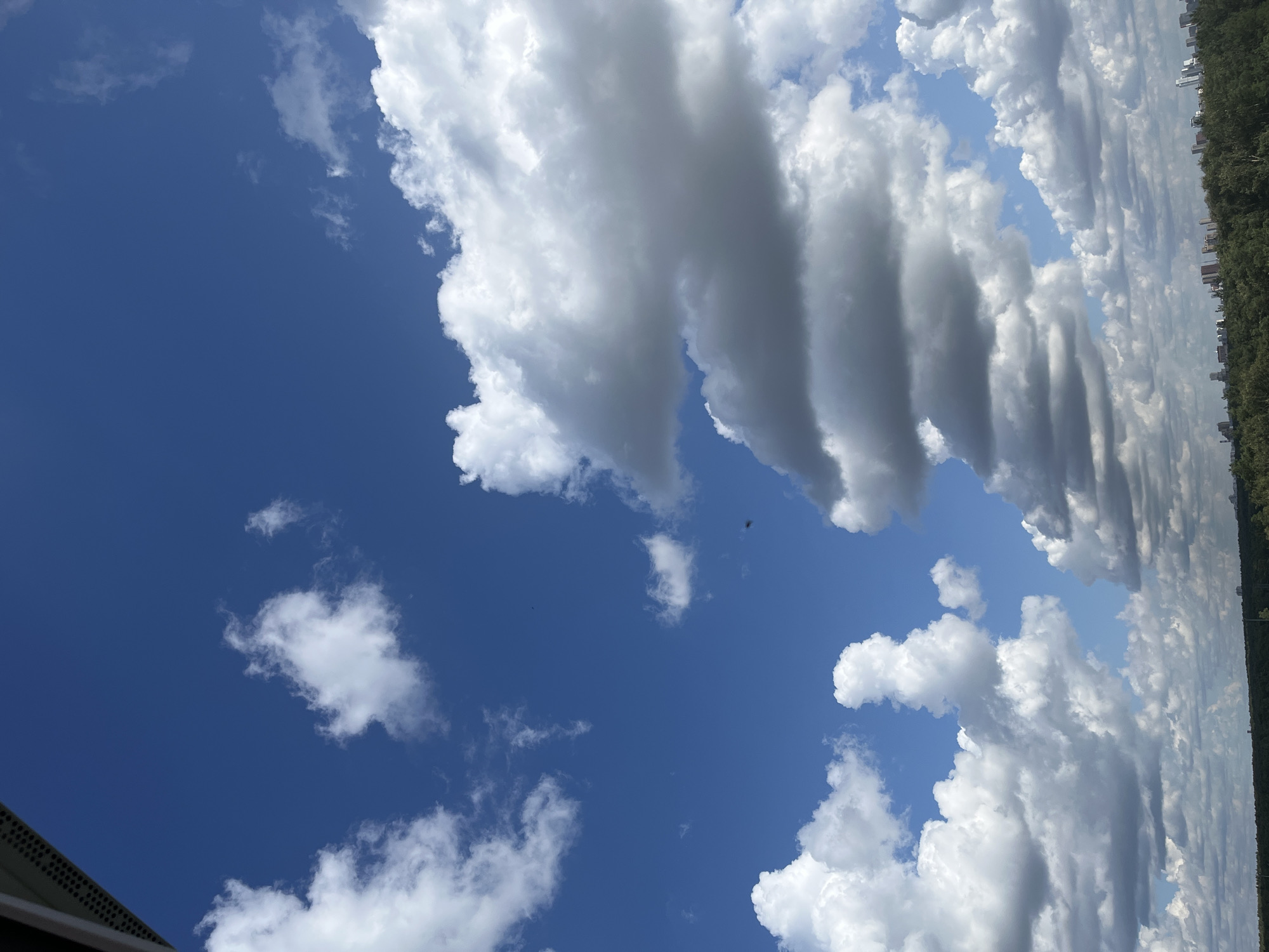 The image shows a daytime view of the sky above Romashkovo, Russia, with a line of trees and buildings in the distance. The sky is a bright blue, dotted with fluffy white cumulus clouds. There are two small dark objects that appear to be birds or insects in flight. In the upper left corner, a portion of a dark structure, possibly a building or a roof edge, is visible. The horizon shows a dense green tree line, behind which a cityscape with several tall buildings is discernible.