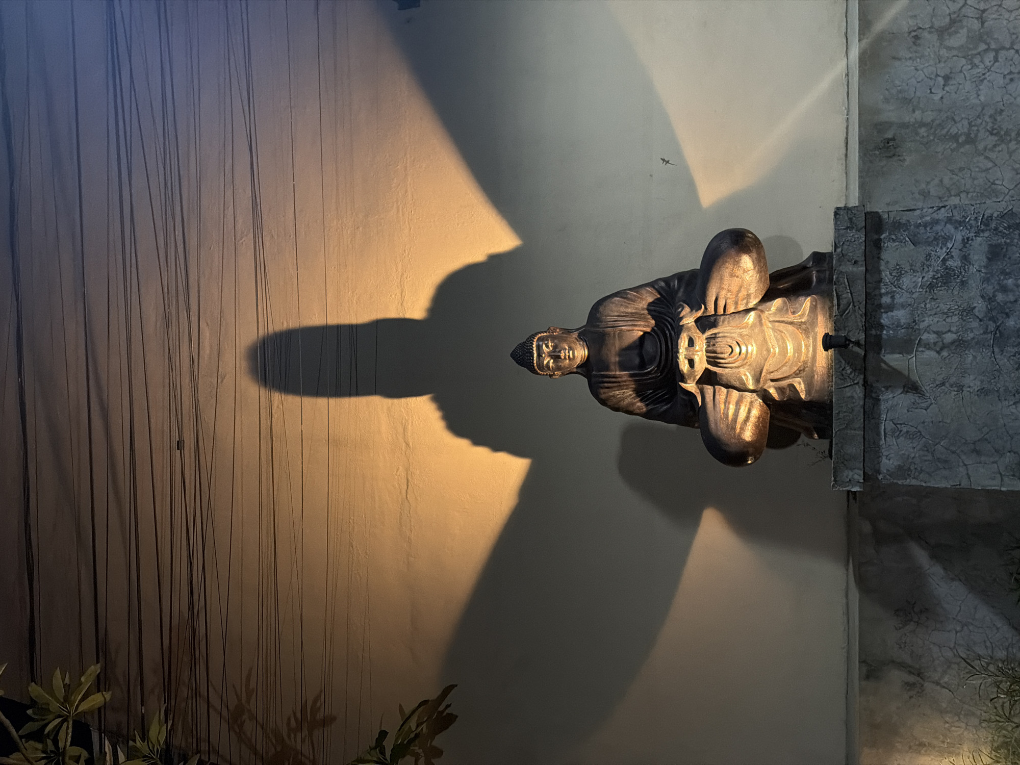 A statue of Buddha sits on a pedestal against a wall. The statue and wall are lit, casting a shadow. Plants are visible at the bottom of the frame and strings hang near the wall.