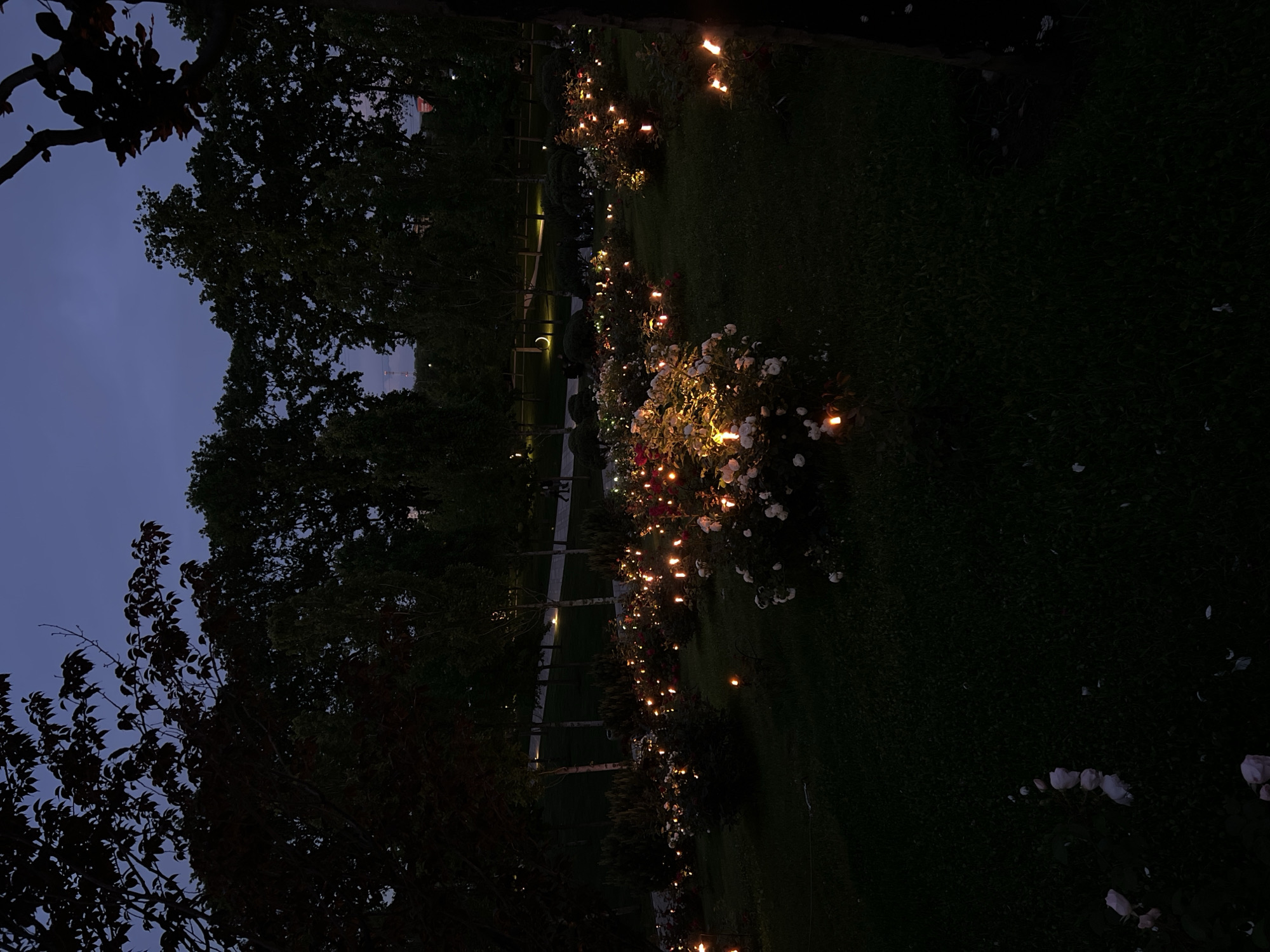 The media file displays a serene garden scene captured at night in Krasnodar, Russia. The setting is a well-maintained park or botanical garden, illuminated by numerous warm lights.
The primary subjects are rows of flowering bushes, likely roses, adorned with small, glowing lights that emit an orange-yellow hue. These lights highlight the blooms, which appear to be predominantly white and some shades of red or pink. The bushes line a light-colored pathway that winds through the garden into the distance.
Tall, dark trees with dense foliage frame the garden on both sides, their silhouettes stark against a deep blue twilight sky, indicating either late evening or early night. The ground areas between the planted sections are covered in dark green grass, and in the foreground, a few scattered white flower petals are visible on the grass.
No people are present, and no specific activities are taking place; the scene itself is the main event, showcasing the tranquil beauty of the illuminated garden. The time of day is clearly night or late twilight, with the artificial lights providing the main source of illumination. The sky is clear, suggesting fair weather. The overall mood conveyed is one of peacefulness and enchantment. There is no visible text in the image.