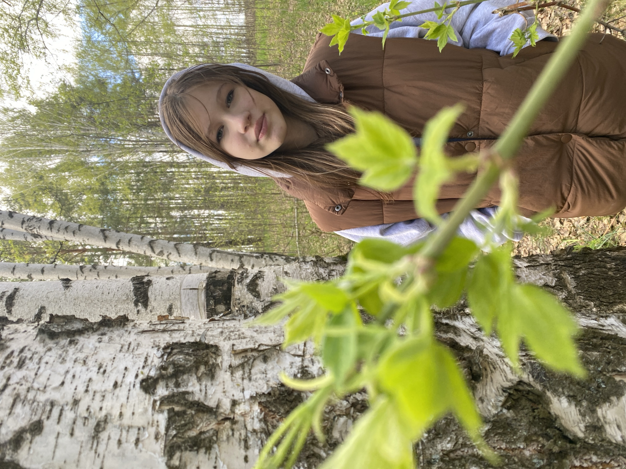 A young person is posing for a photo in a forest. The subject wears a brown vest over a grey hooded sweatshirt. The forest consists of birch trees. In the foreground, a budding tree branch obscures part of the image. Based on the available information, the location is not possible to determine with certainty other than the image might be from Russia.