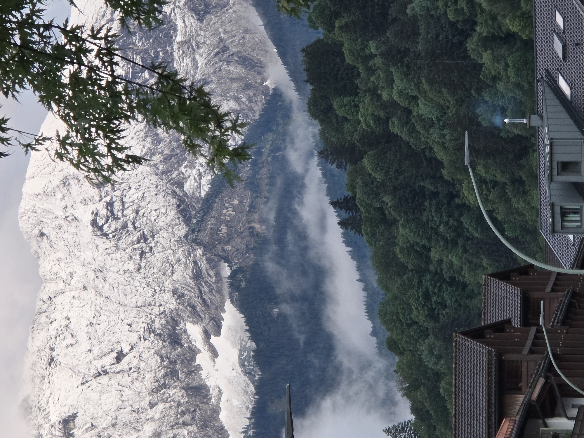 The image depicts a view of the Zugspitze massif, Germany's highest peak, located near Garmisch-Partenkirchen. The upper portion of the mountain is covered in snow, contrasting with the dark green coniferous forests that blanket the lower slopes. Wisps of fog and clouds are visible clinging to the mountainside, creating a sense of depth and atmosphere. In the foreground, a residential area with dark-tiled roofs and wooden structures is visible. A street lamp is present, and a chimney on one of the houses is emitting a faint plume of smoke. Green foliage from a tree branches into the frame from the upper right corner. The overall scene conveys a natural landscape with human habitation in the foreground, under a cloudy sky.