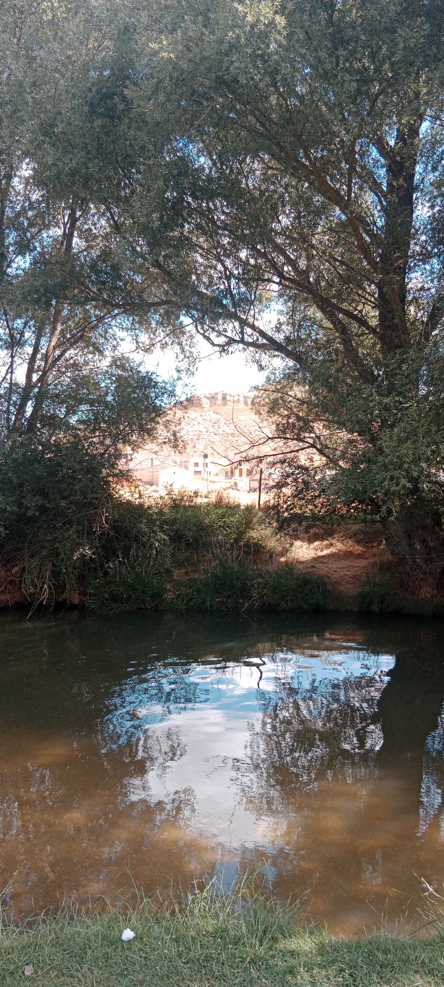 The image depicts a serene natural scene with a body of water in the foreground, reflecting the sky and surrounding foliage. Lush green grass lines the bank of the water. Beyond the water, there is a dense line of trees and shrubs, with branches arching over the scene. In the distance, a hill is visible with some structures on it, suggesting a settlement or town. The overall atmosphere is peaceful and natural. The prompt mentions the city of Milagros, Spain, however, there is no visual information within the image that specifically identifies this location.