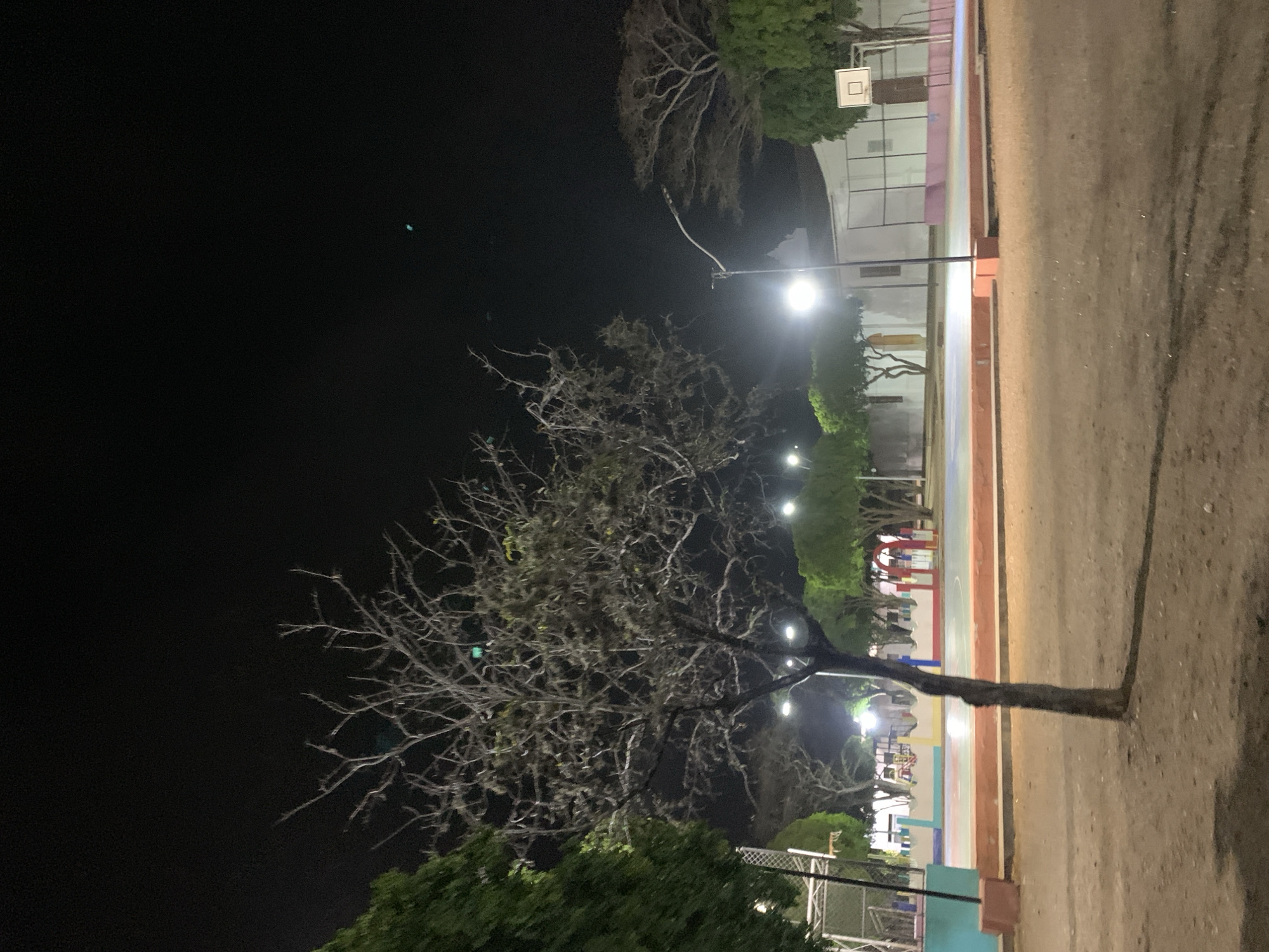 This nighttime image, captured in Santa Ana, Venezuela, depicts an outdoor scene illuminated by artificial lights. The prominent subject is a tall tree with an extensive network of bare, intricate branches, positioned in the mid-ground on the left, casting a long shadow towards the right. Another tree with green foliage is visible behind it and in the upper right.
A bright streetlamp stands between the bare tree and an outdoor court, which is delineated by colored lines in blue, red, and a lighter shade. This court appears to be a basketball court, with a hoop and a white backboard clearly visible in the upper right background, attached to a building or a freestanding pole. The ground in the immediate foreground and to the right of the court is unpaved, consisting of dirt or sand.
Further into the background, beneath additional green trees, glimpses of colorful structures, possibly part of a play area or decorative elements, can be seen, also under artificial illumination. The sky is dark and clear, indicating a moonless or heavily shaded night. The scene is devoid of people or any specific ongoing activity, conveying a sense of quiet stillness. No visible text is present in the image.
