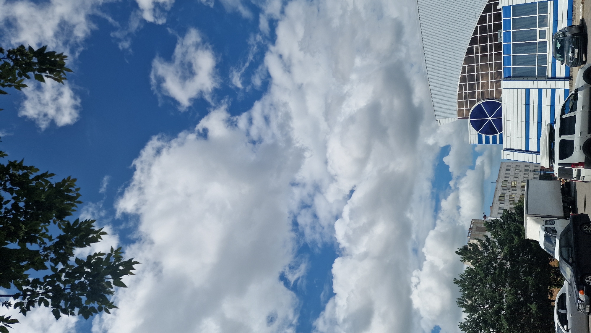 This is a vertical, eye-level shot looking up at a bright blue sky with scattered white clouds. In the foreground, the dark green leaves and branches of a tree hang down from the top left corner of the frame. The middle ground of the image features a modern building with a distinctive blue circular emblem on its facade, along with white and blue horizontal striped accents. To the left of this building, a multi-story apartment building is visible, with a white box truck and several cars parked in front of it. The scene appears to be in a city, likely Kostanay, Kazakhstan, given the architecture and vehicle types.