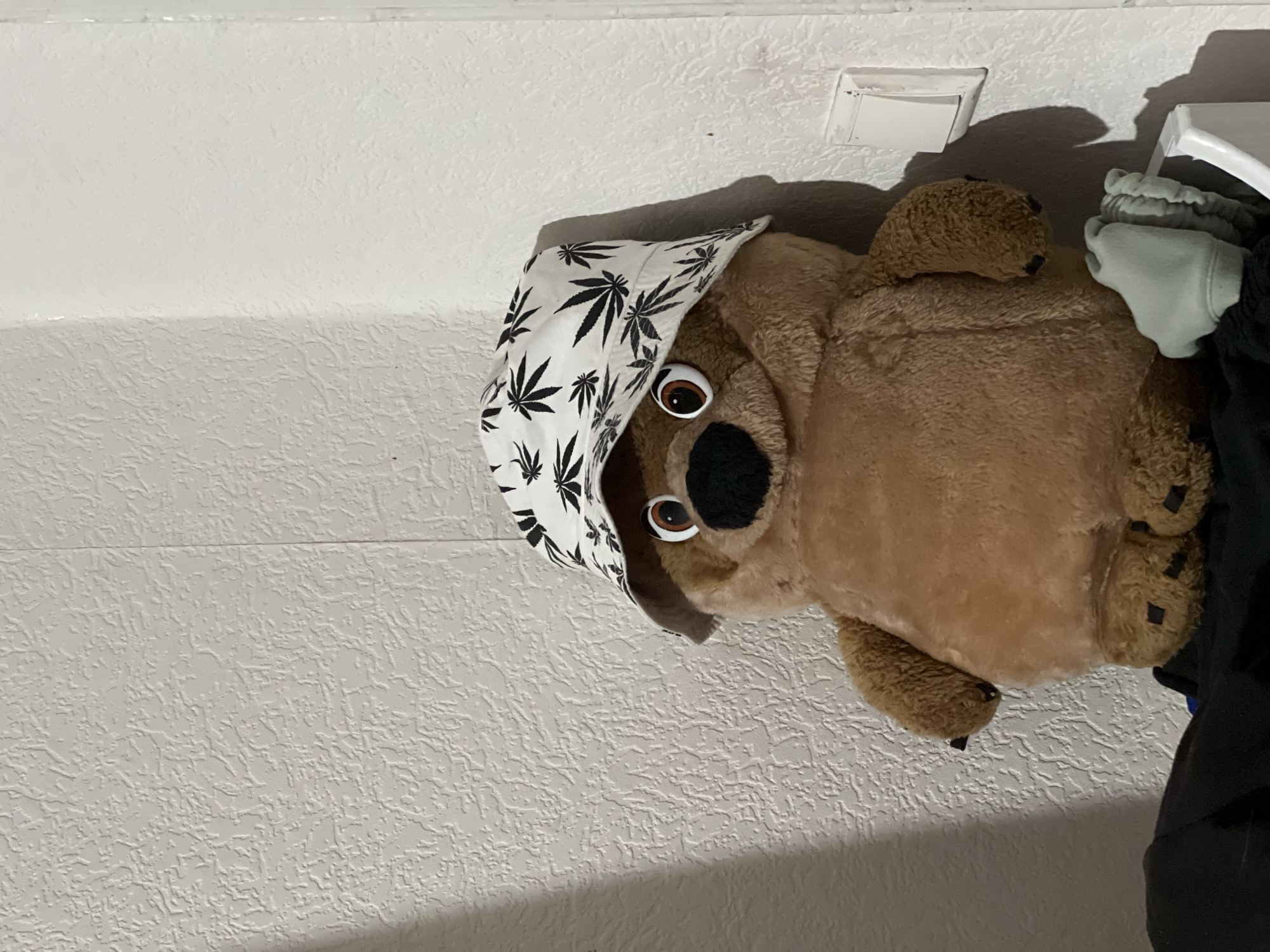A plush teddy bear wearing a bucket hat with a marijuana leaf pattern is positioned in the corner of a room. The bear is brown with black paws and a black nose. Its eyes are round and brown with black pupils. The hat is white with black marijuana leaves. The bear is leaning against a textured, off-white wall. To the right of the bear, a white light switch is mounted on the wall. In the foreground, a white laundry basket with light-colored clothing is visible. The lighting suggests an indoor setting, possibly a bedroom or storage area. The scene is static with no apparent activity. The location is identified as Unknown, Unknown.