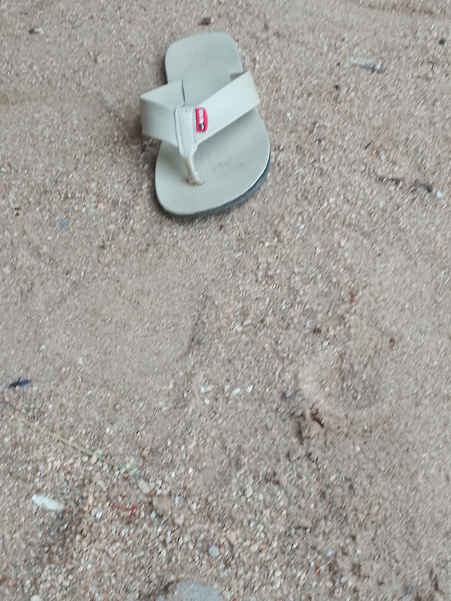 A single, light-colored flip-flop lies on a sandy surface. The flip-flop is positioned with its sole facing downwards and the strap visible, featuring a small red logo. The surrounding environment is composed of sand with small pebbles and debris. The lighting suggests an outdoor setting, possibly during the day. The image is a close-up view of the flip-flop and its immediate surroundings.