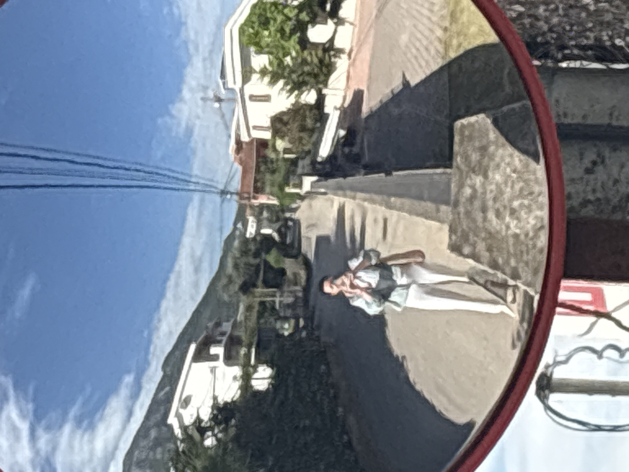 The image shows a convex mirror reflecting a street scene. The reflection includes a person in light-colored clothing, buildings, trees, a mountain, and the sky. The mirror's frame is red. Outside the mirror's reflection, there are parts of a post and sign. Based on the architectural style of the buildings and the surrounding environment, the location is in the city of Bar, Montenegro.