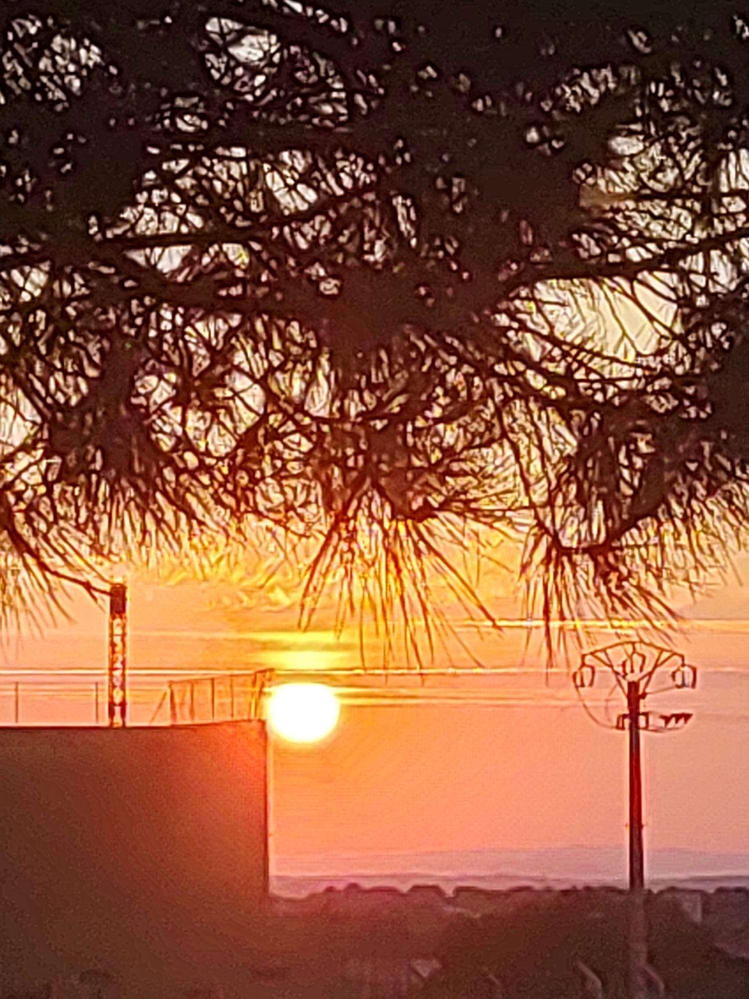 A silhouetted tree branch is in the foreground of this image, with a bright orange sunset in the background. The sun appears as a white circle near the center of the image. To the left of the sun is a tall, dark structure, possibly a chimney, rising from a building. To the right of the sun is a utility pole with wires extending from it. The lower part of the image shows a dark, silhouetted landscape, likely a city or town, with hints of buildings and trees. The overall scene depicts a sunset over an urban or industrial area.