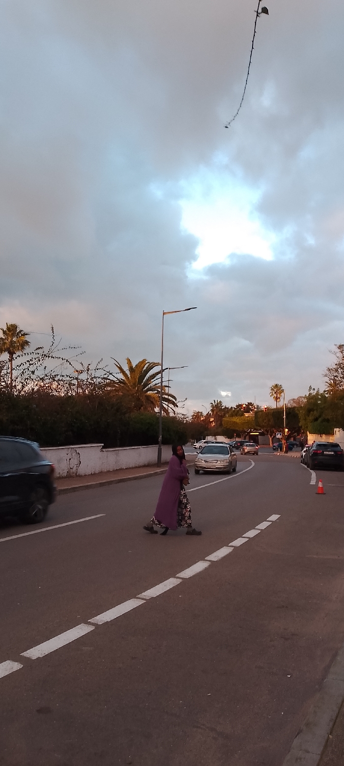 This candid street photograph, set in Aïn El Aouda, Morocco, captures a moment during either dawn or dusk. The sky is largely overcast with soft grey clouds, but a brighter patch indicates the low position of the sun, casting a gentle, warm light on the scene.
The primary subject is a person, likely a woman, dressed in a long purple coat over patterned trousers, actively walking across an asphalt road from right to left. She appears to be carrying something in her arms, possibly a child or a bag, which is partially obscured by her garment.
The road features dashed white lines, suggesting lane separation or an unofficial crossing area. Several vehicles are present: a blurred dark SUV is in motion on the left, while a silver sedan and other cars are visible further down the road, indicating traffic. Modern streetlights stand along the road, and a low white wall separates the road from dense green foliage and tall palm trees that line the street. A lone orange traffic cone is visible on the right side of the road. An unusual detail is a long, thin, thorny-looking branch or vine dangling prominently from the upper left corner against the sky.
The overall impression is a mundane yet atmospheric street scene, depicting daily life in a Moroccan town during the golden hour. There is no visible text in the image, and no strong emotions are conveyed by the subjects.