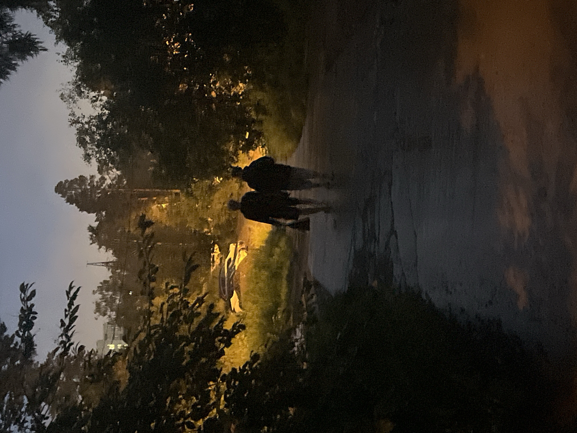 This image shows two figures walking away from the camera on a wet, paved path through a dimly lit, overgrown area. The sky is a hazy, pale blue, indicating either dawn or dusk. To the left of the path, dense foliage obscures much of the background, but a building with illuminated windows is visible through the leaves. Further back, trees and a tall, dark structure, possibly a transmission tower, rise against the sky. To the right of the path, more trees and vegetation are visible, with patches of warm, artificial light reflecting off the wet ground and illuminating some of the foliage. The overall atmosphere is somber and quiet, suggesting a park or natural area on the outskirts of a city.
The location is the area near the Divnogorsk hydroelectric power station in Divnogorsk, Russia. The hydroelectric power station itself is a prominent landmark in Divnogorsk. The image likely depicts the surrounding parkland or pathways near the power station, which is known for its industrial architecture and the natural landscape that envelops it. The presence of the illuminated building could be associated with the power station's facilities or nearby residential areas. The general environment, with its mix of urban infrastructure and natural elements, is characteristic of the Divnogorsk region.